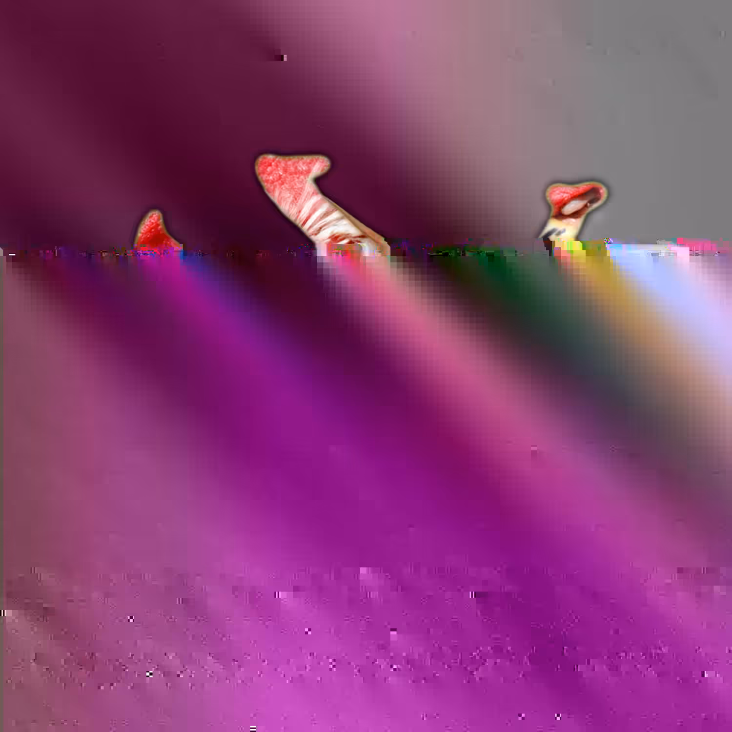 FRIT0DENCE