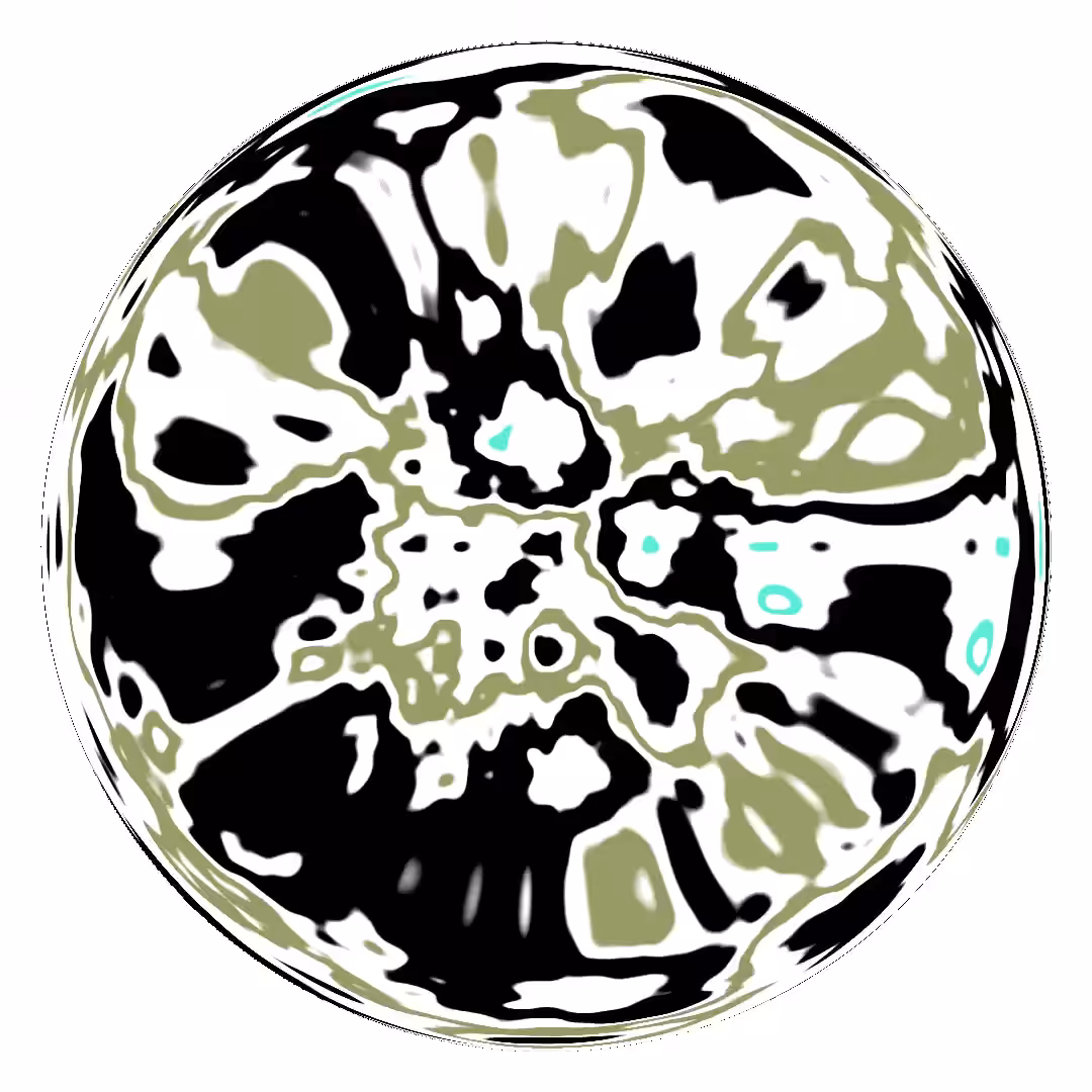 NOISE CIRCLE