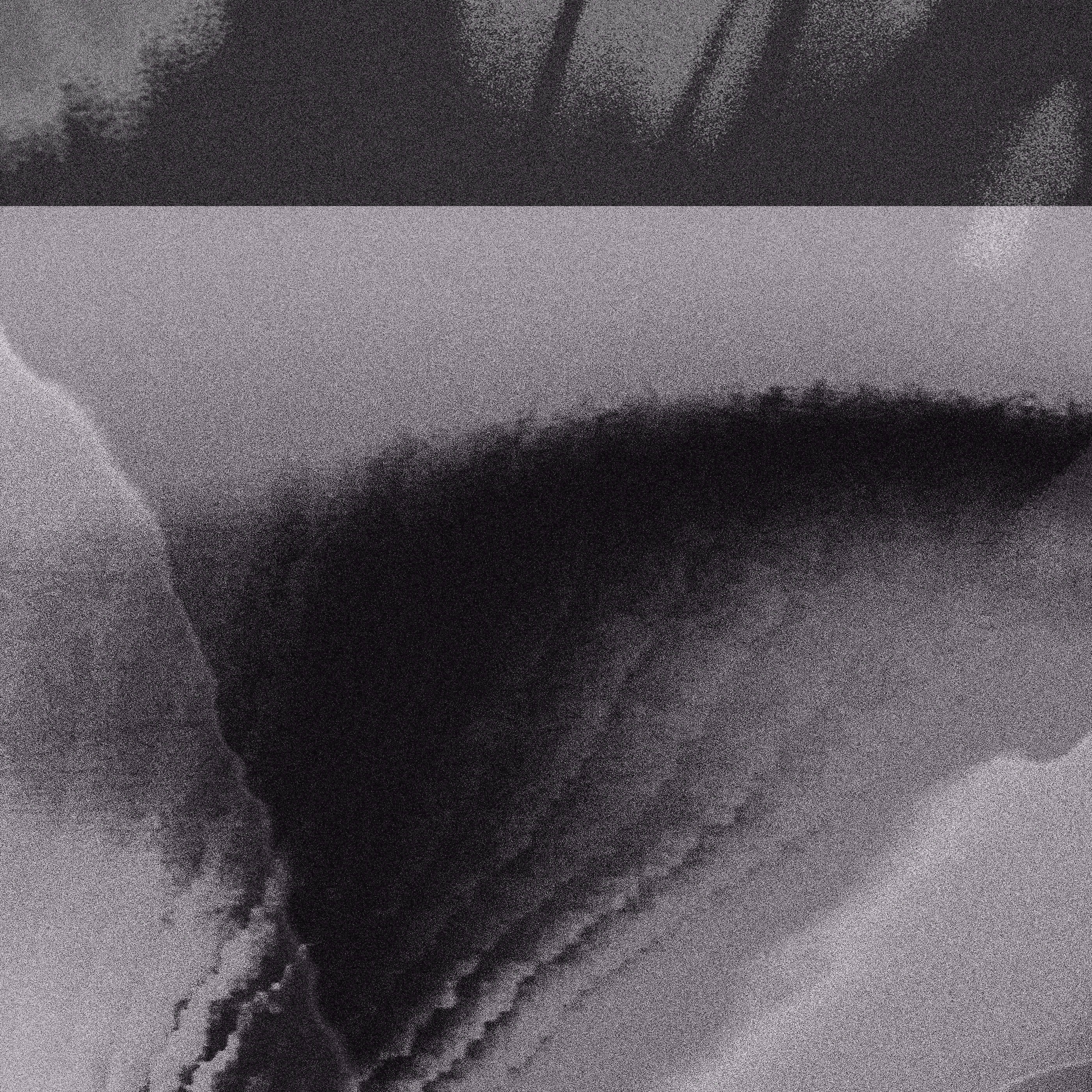 Cosmic Shadows XV