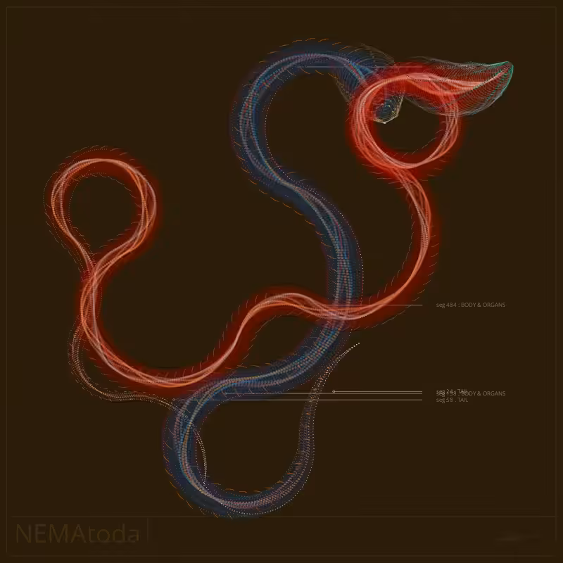NEMA #32