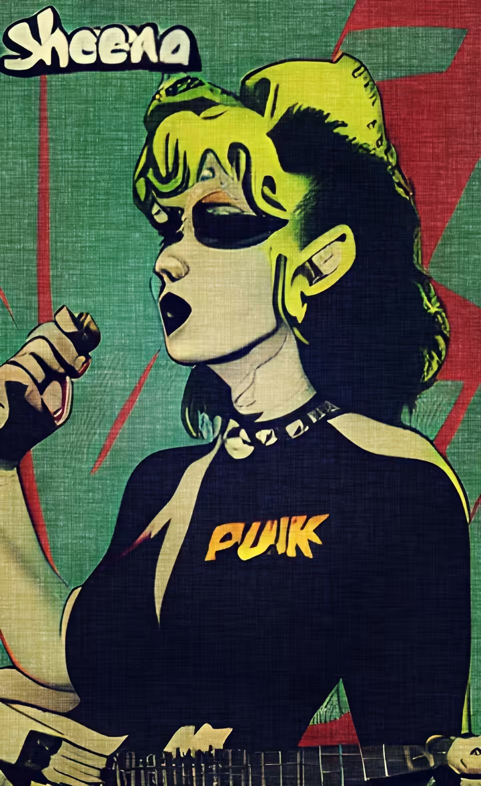 Sheena is a Punk Rocker