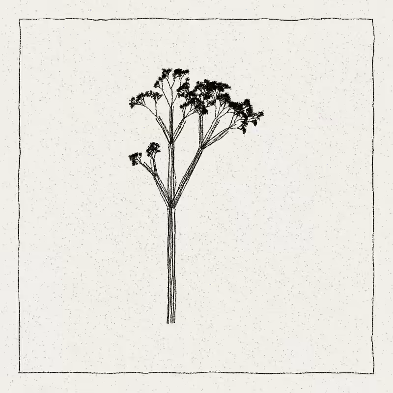 Hand-Drawn Tree #41