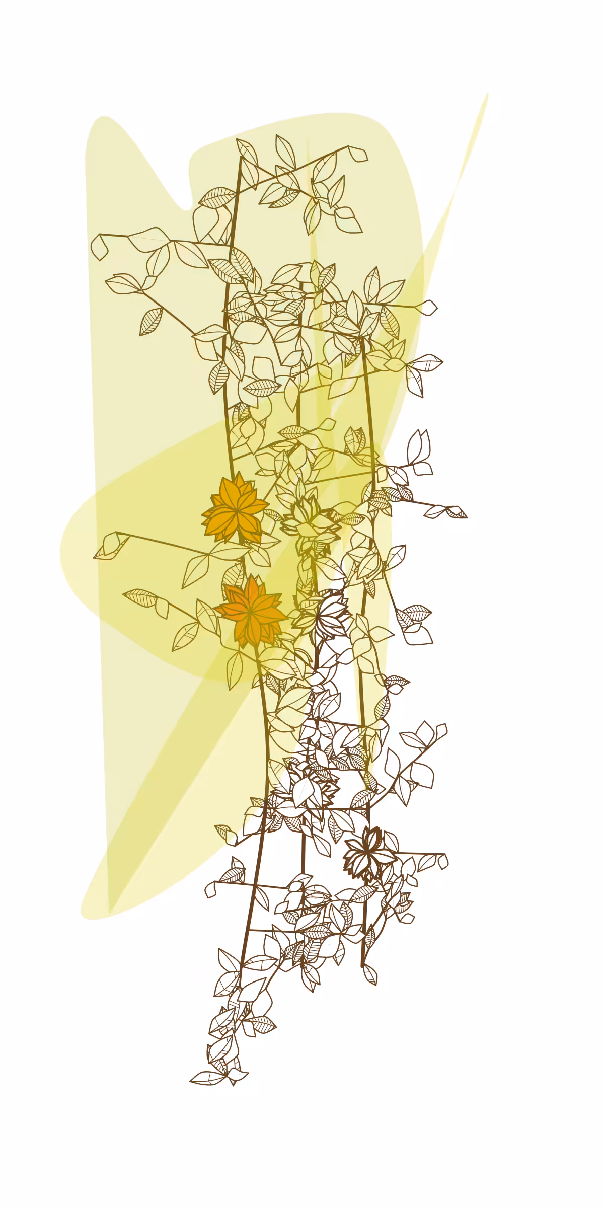 Minimalist Nature #15