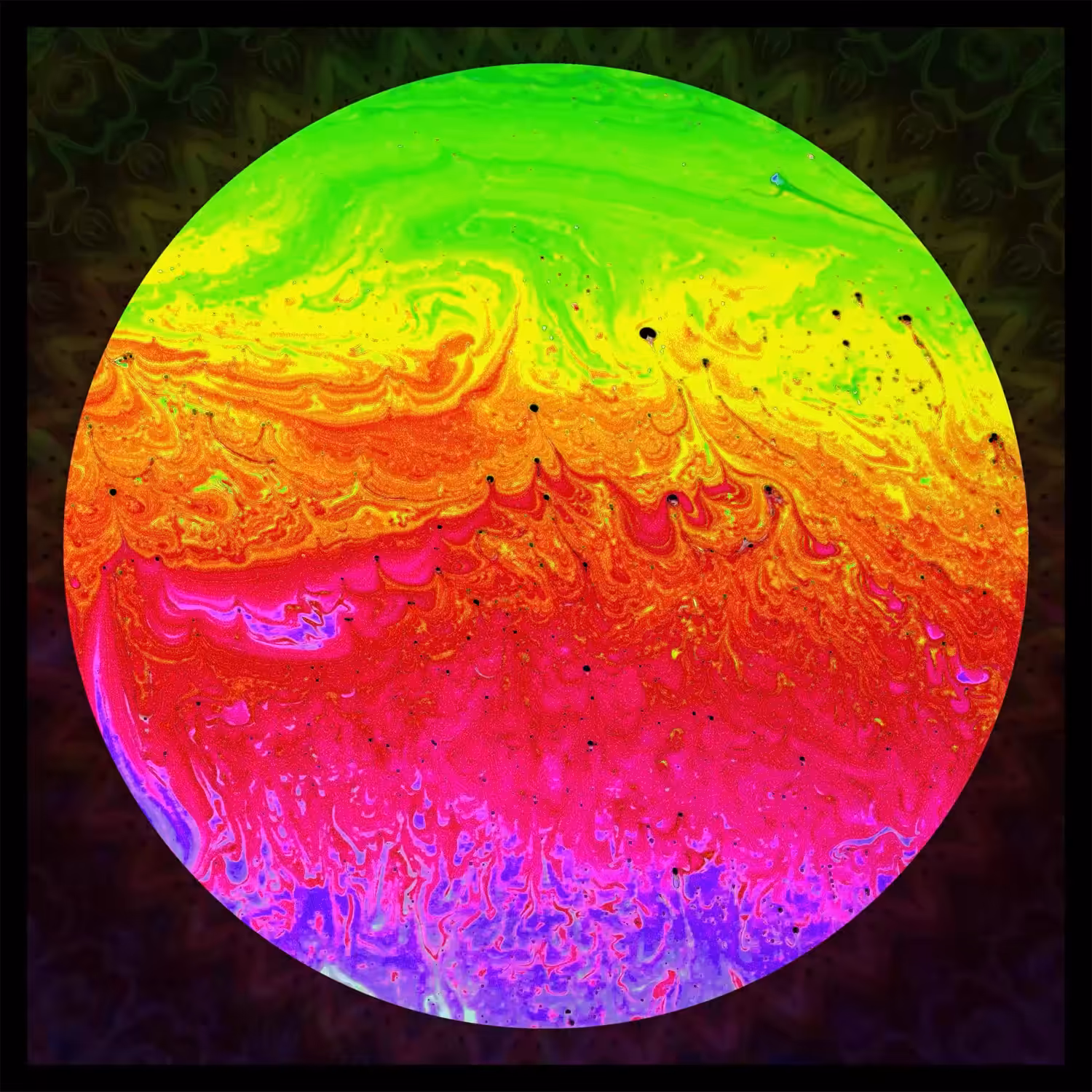 Undiscovered Colors #423