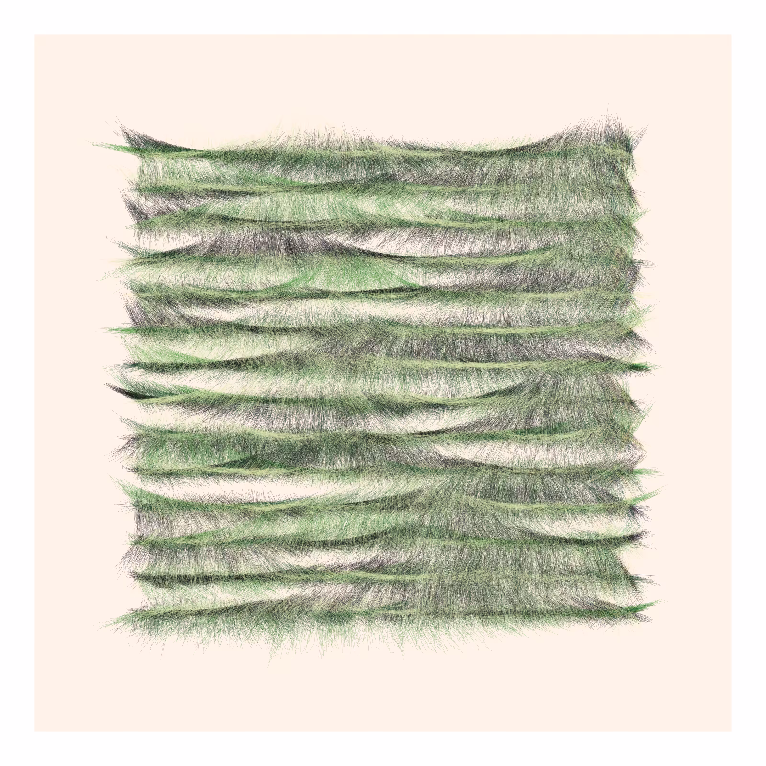 Plume #3