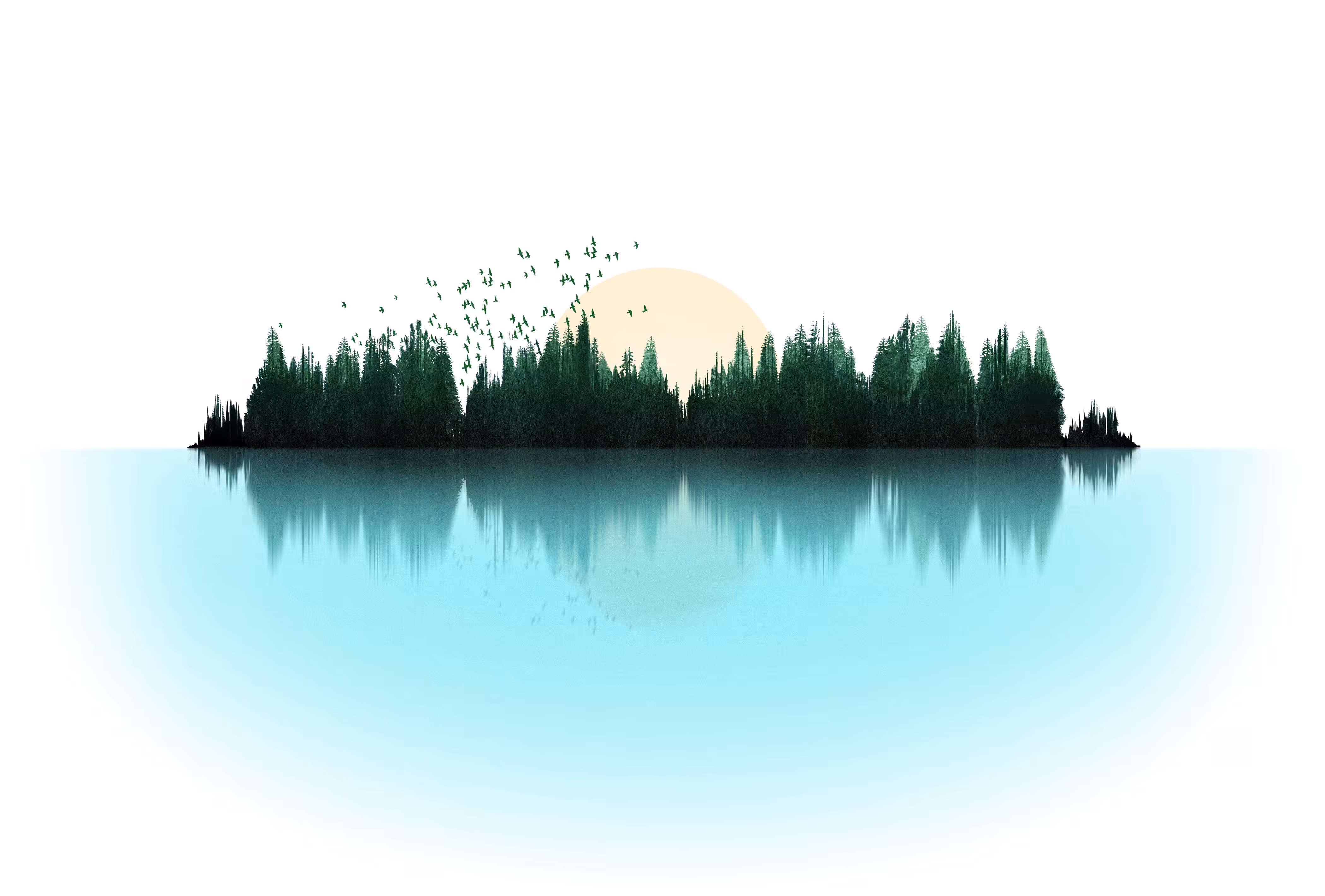 Sounds of Nature