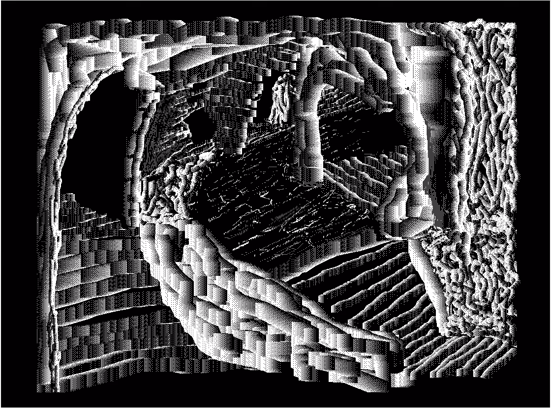 the_chamber_of_perception