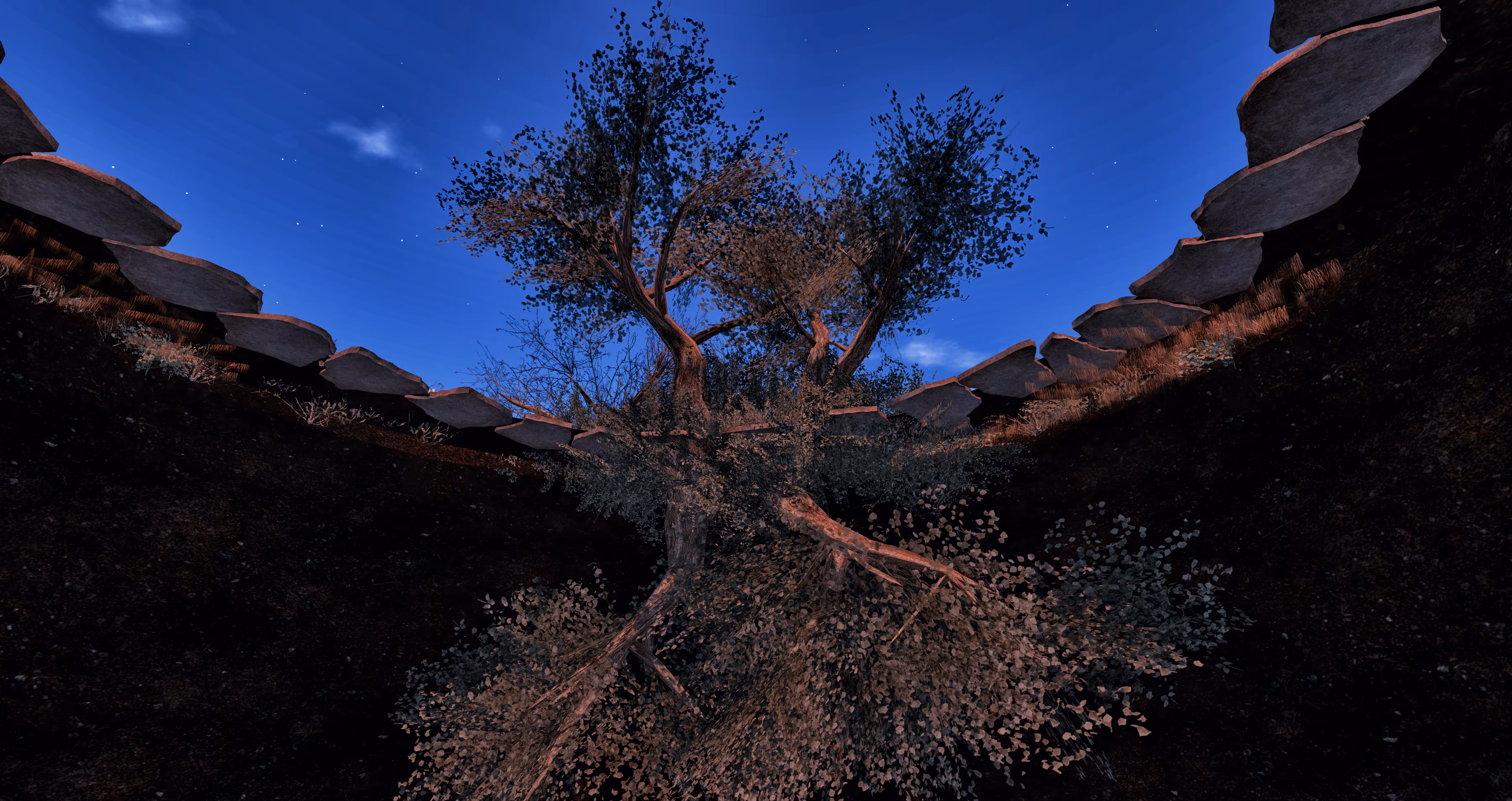 Roots
