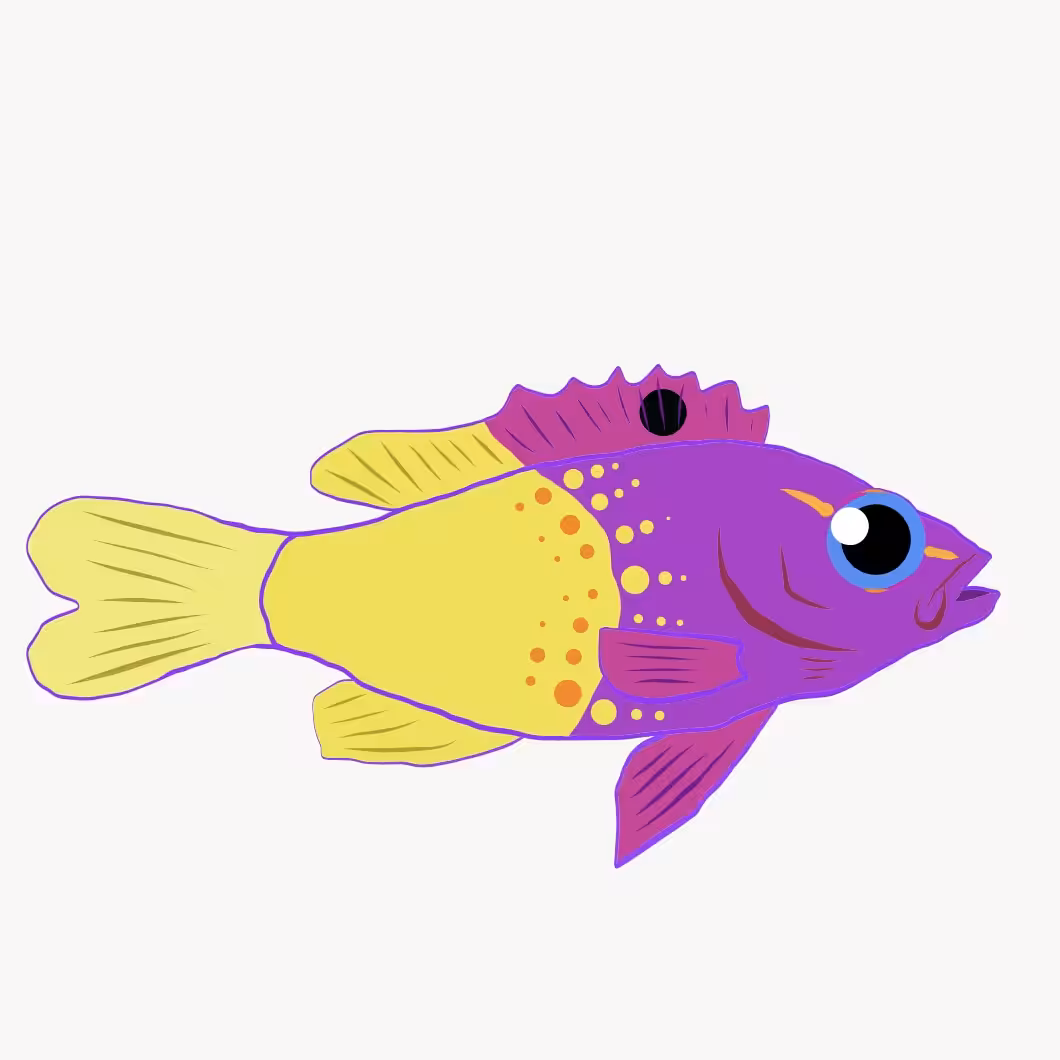 Lemon the royal gramma