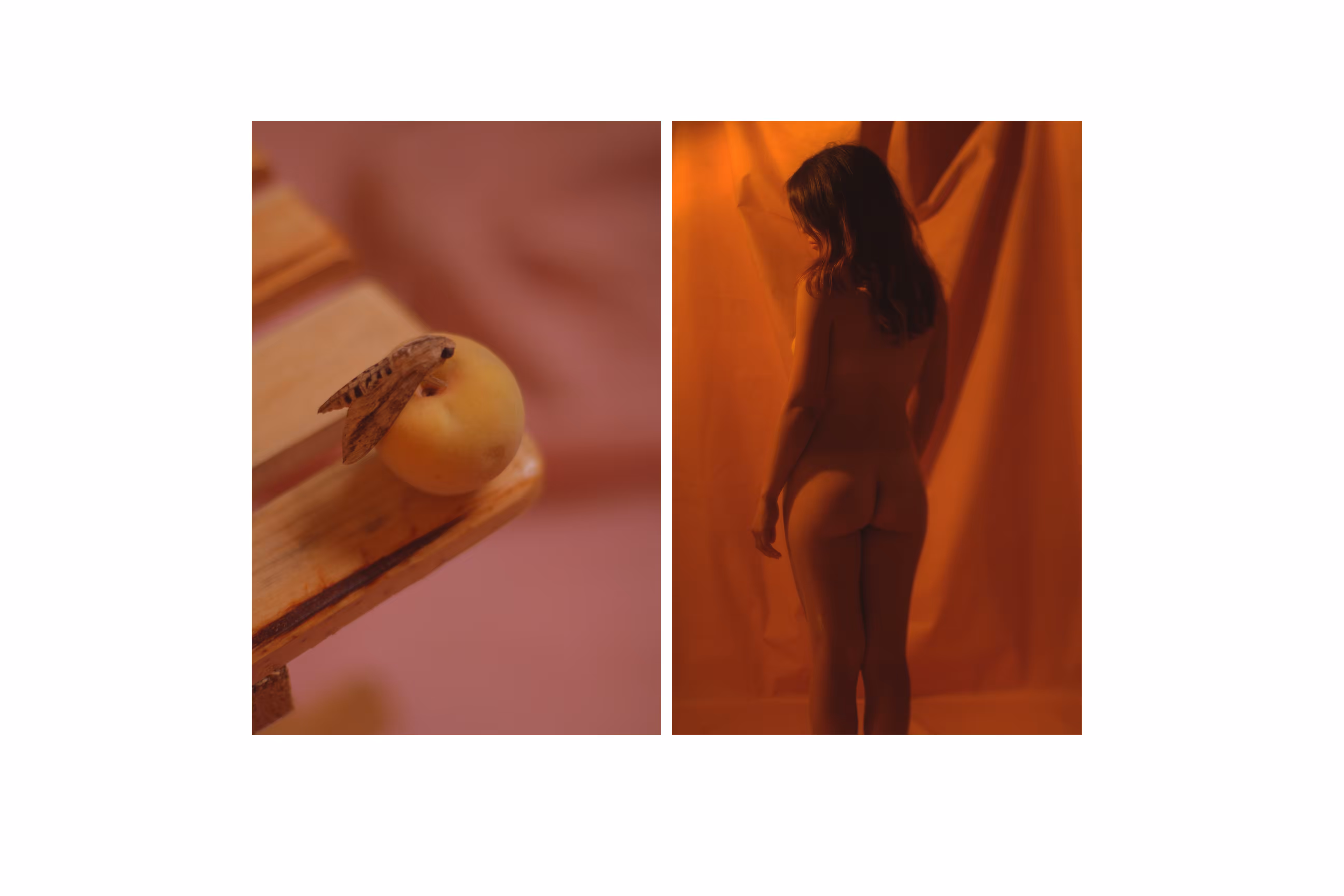 Peaches & Flies