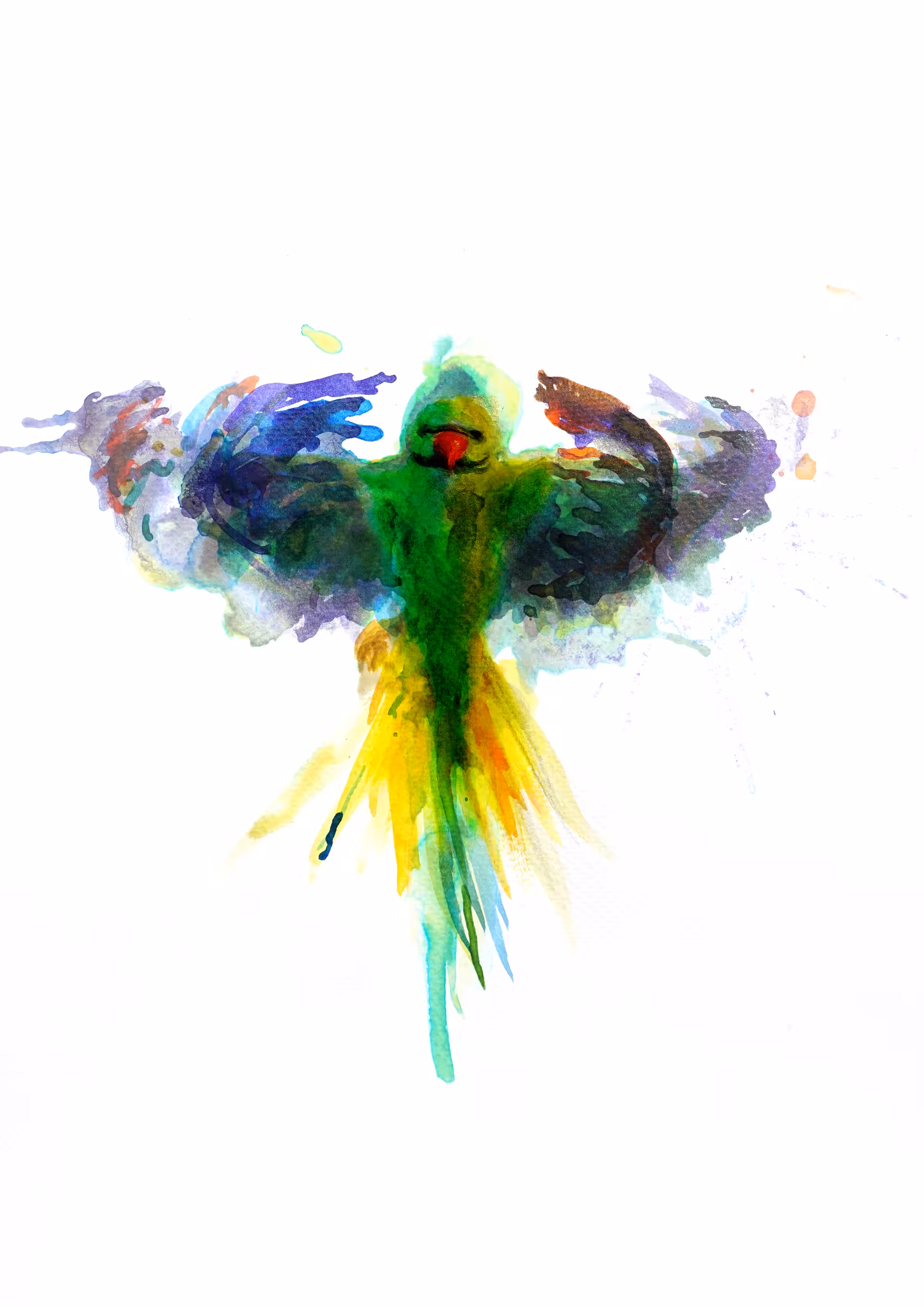 Ithakas: Parakeet Approaching
