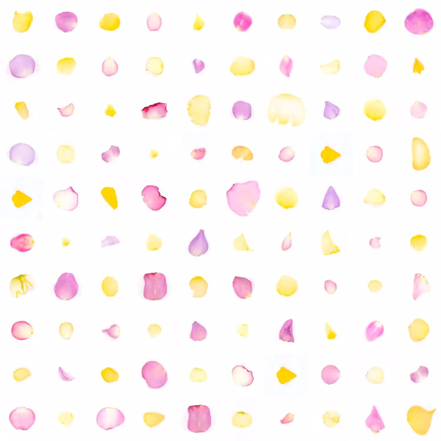 Infinite Petals 10x10#1011
