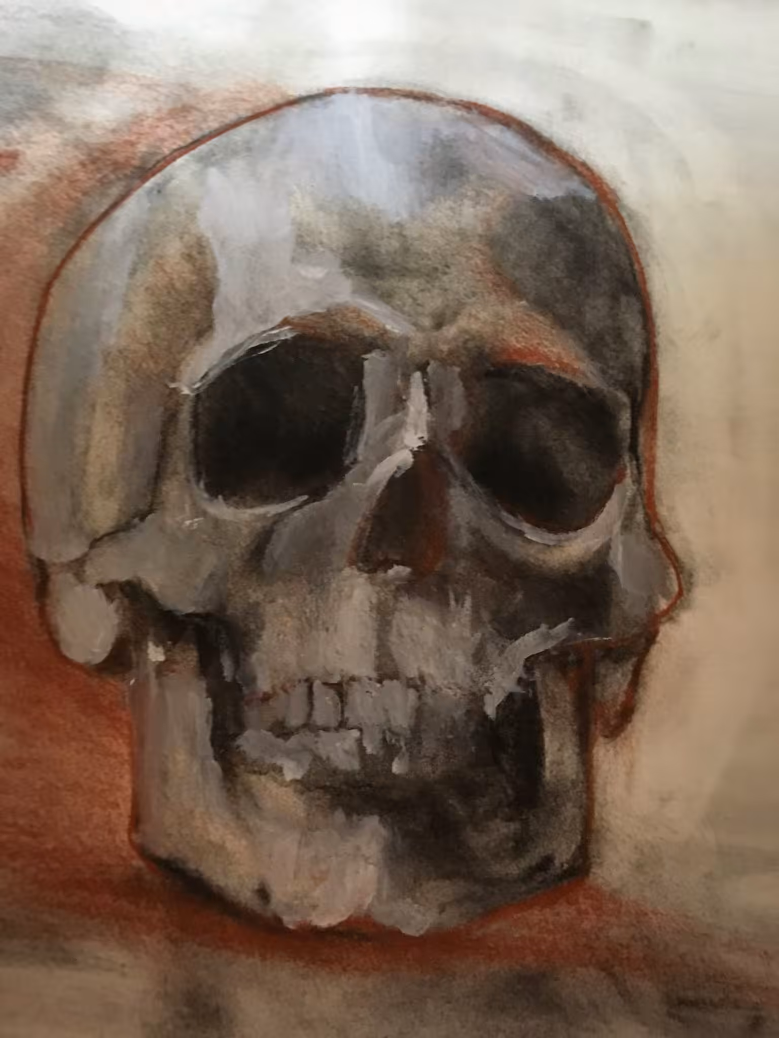 Human Skull
