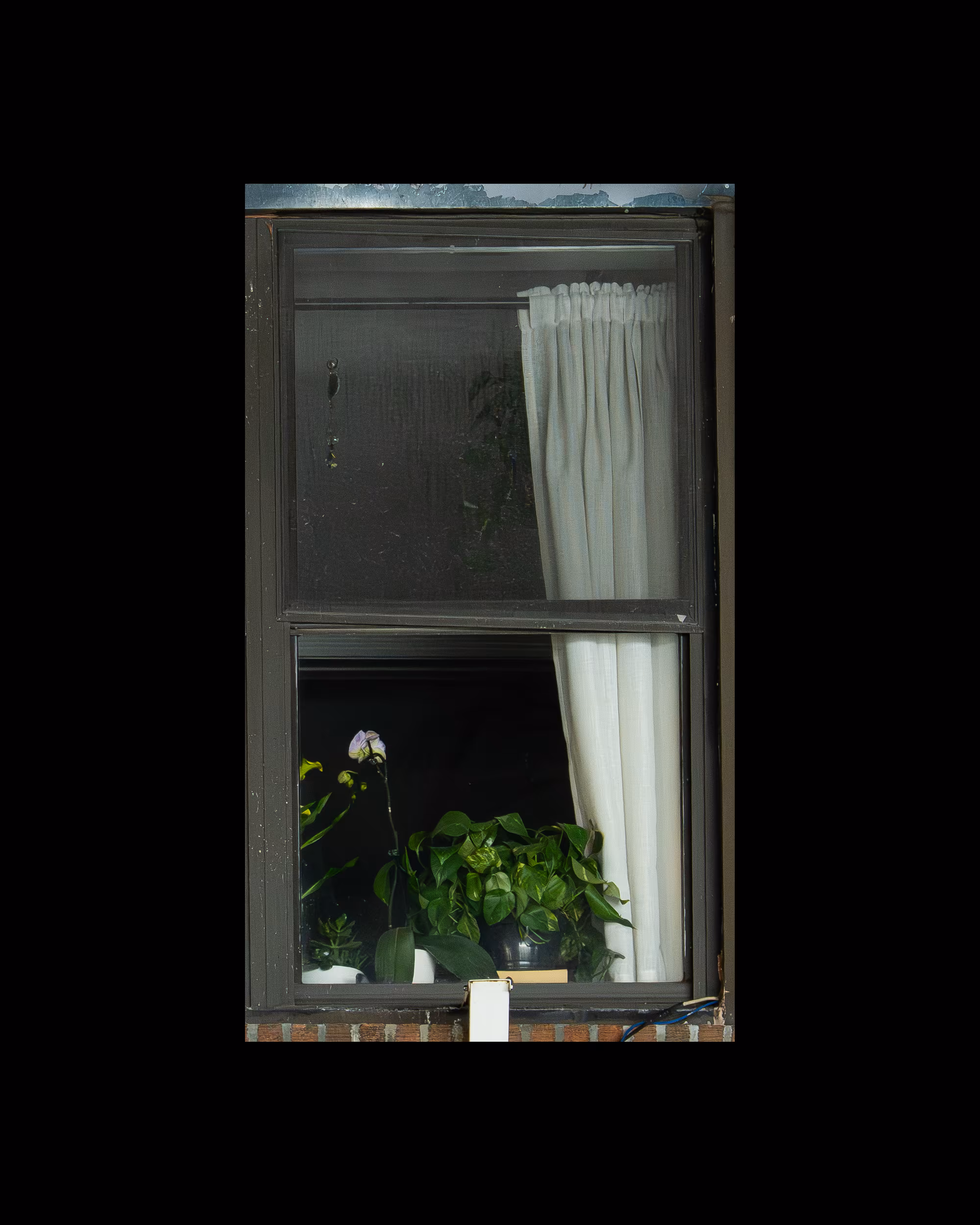 WINDOW 67