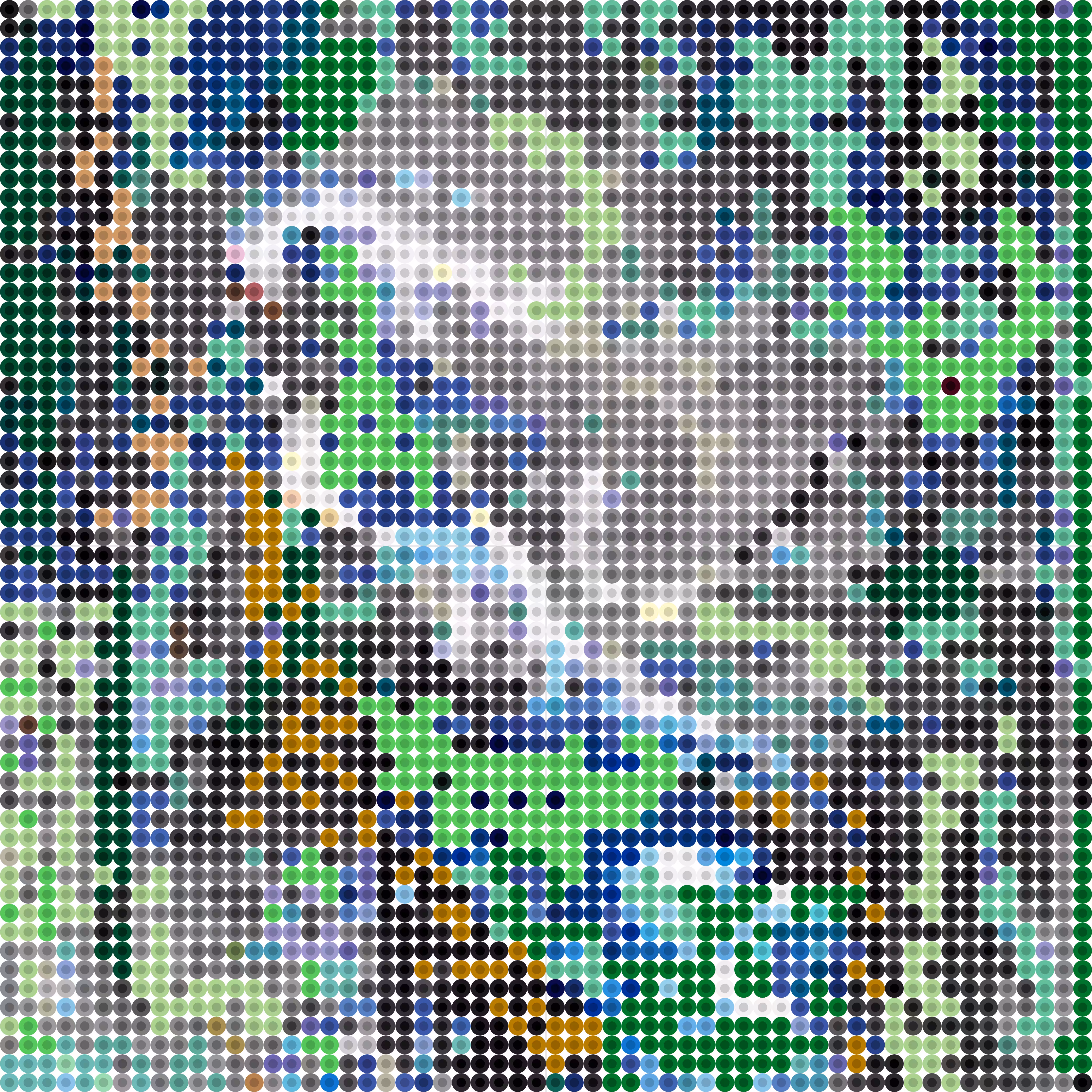 forst of colors