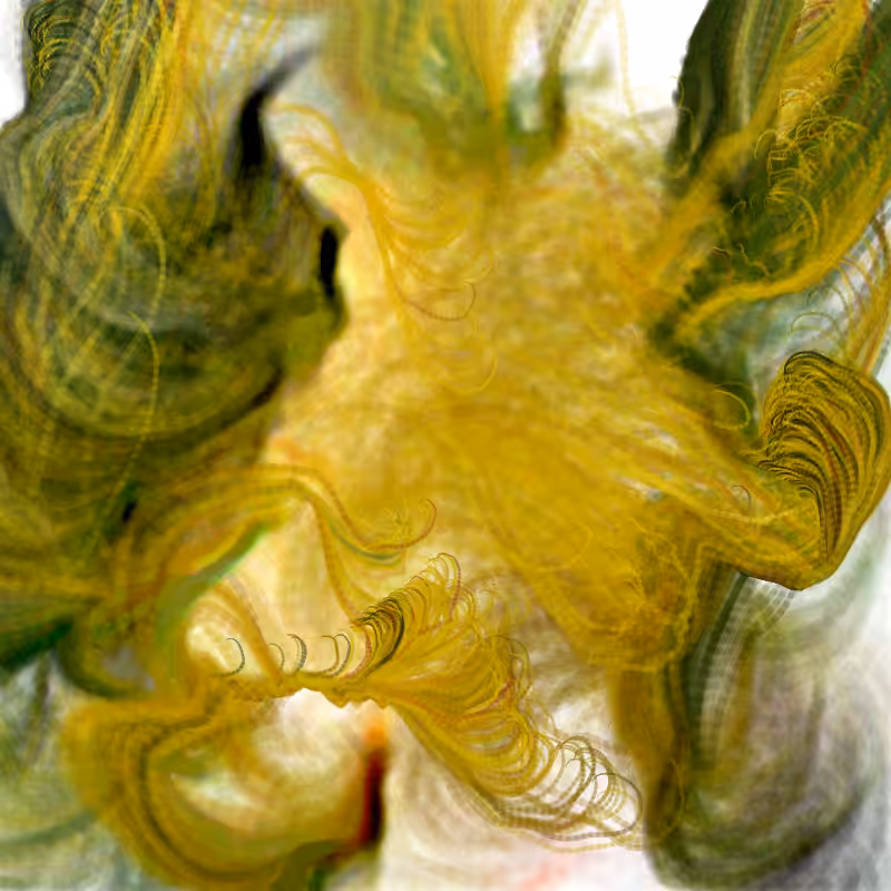 Hypericum #208