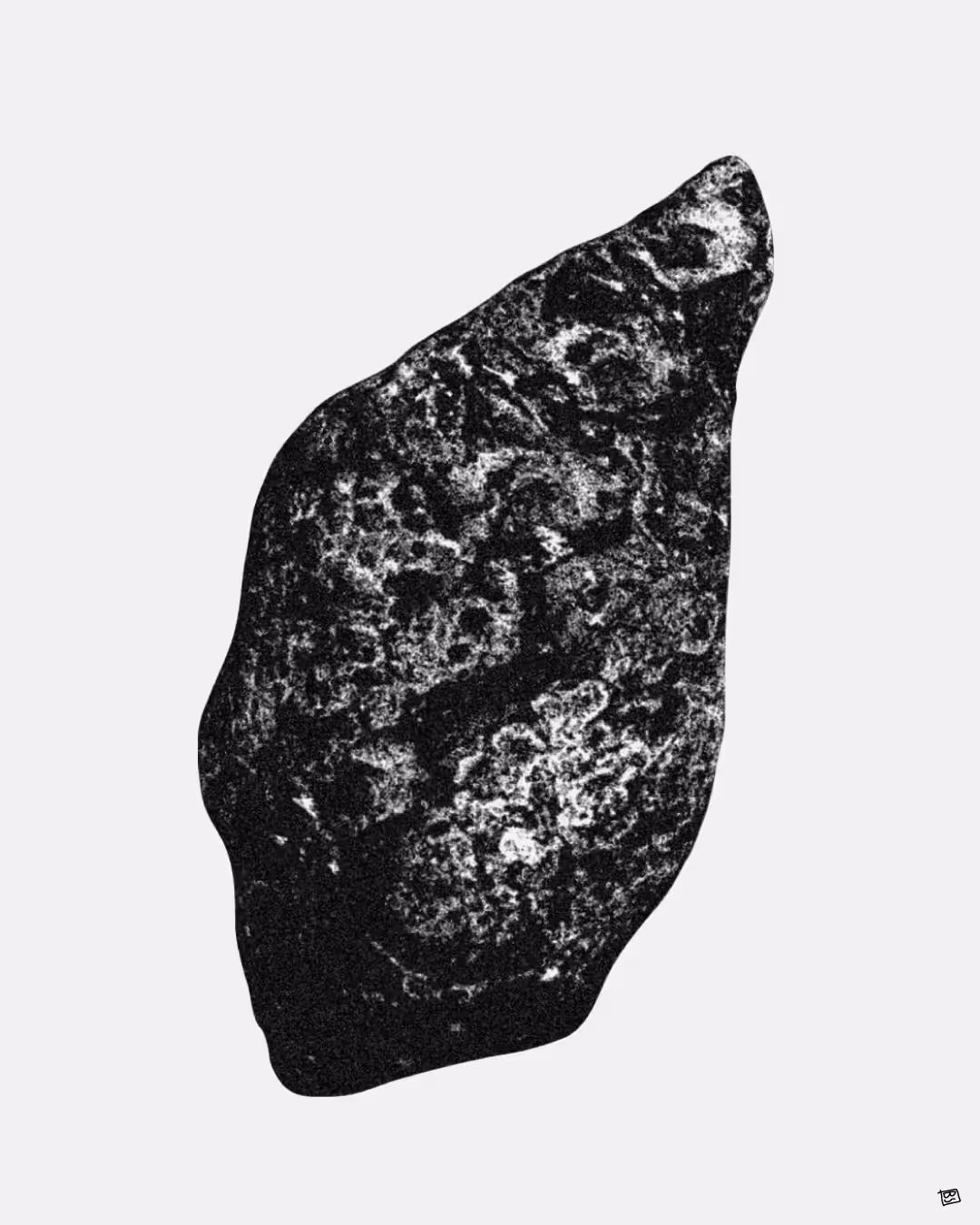 Stellar Stones 261