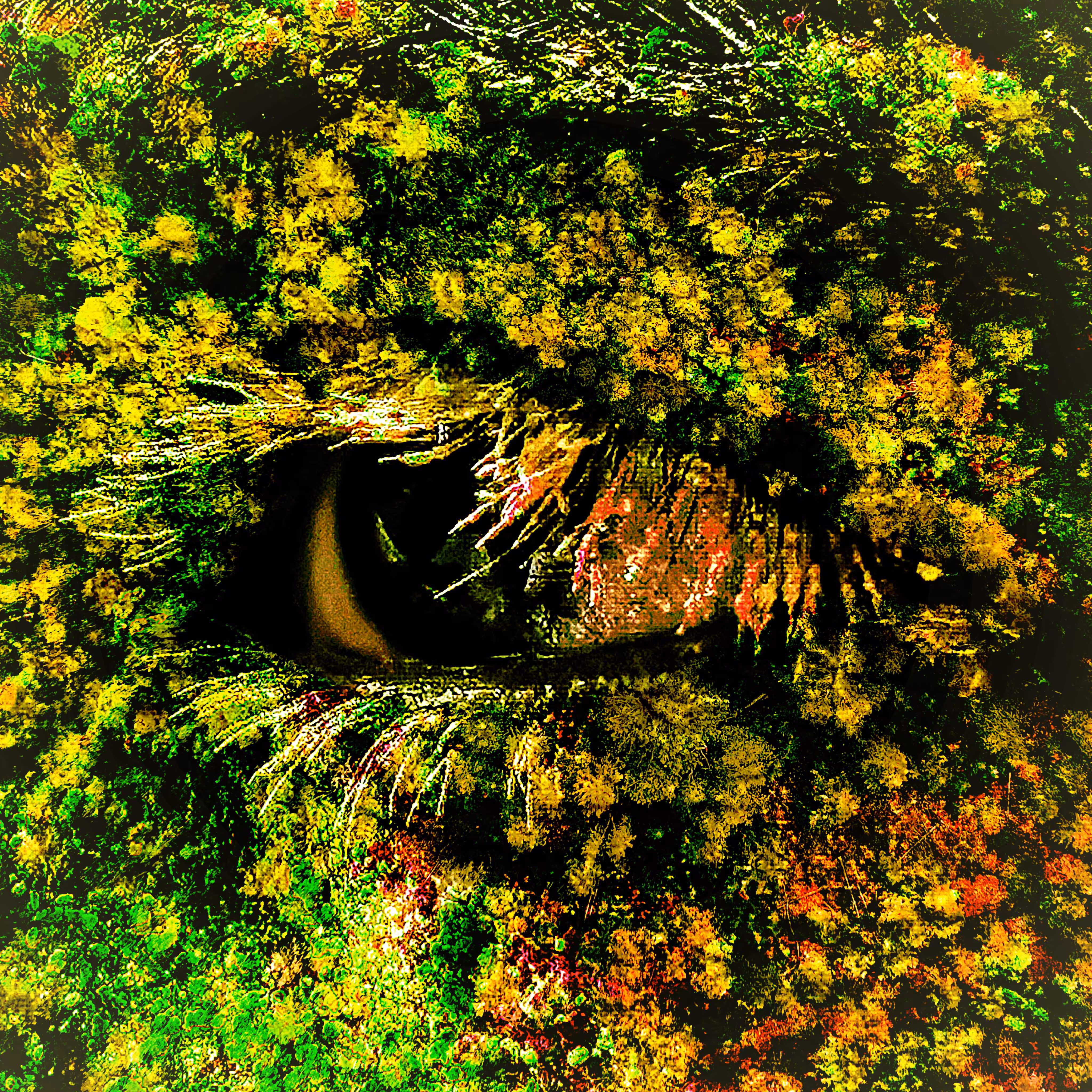 Gaea's Gaze