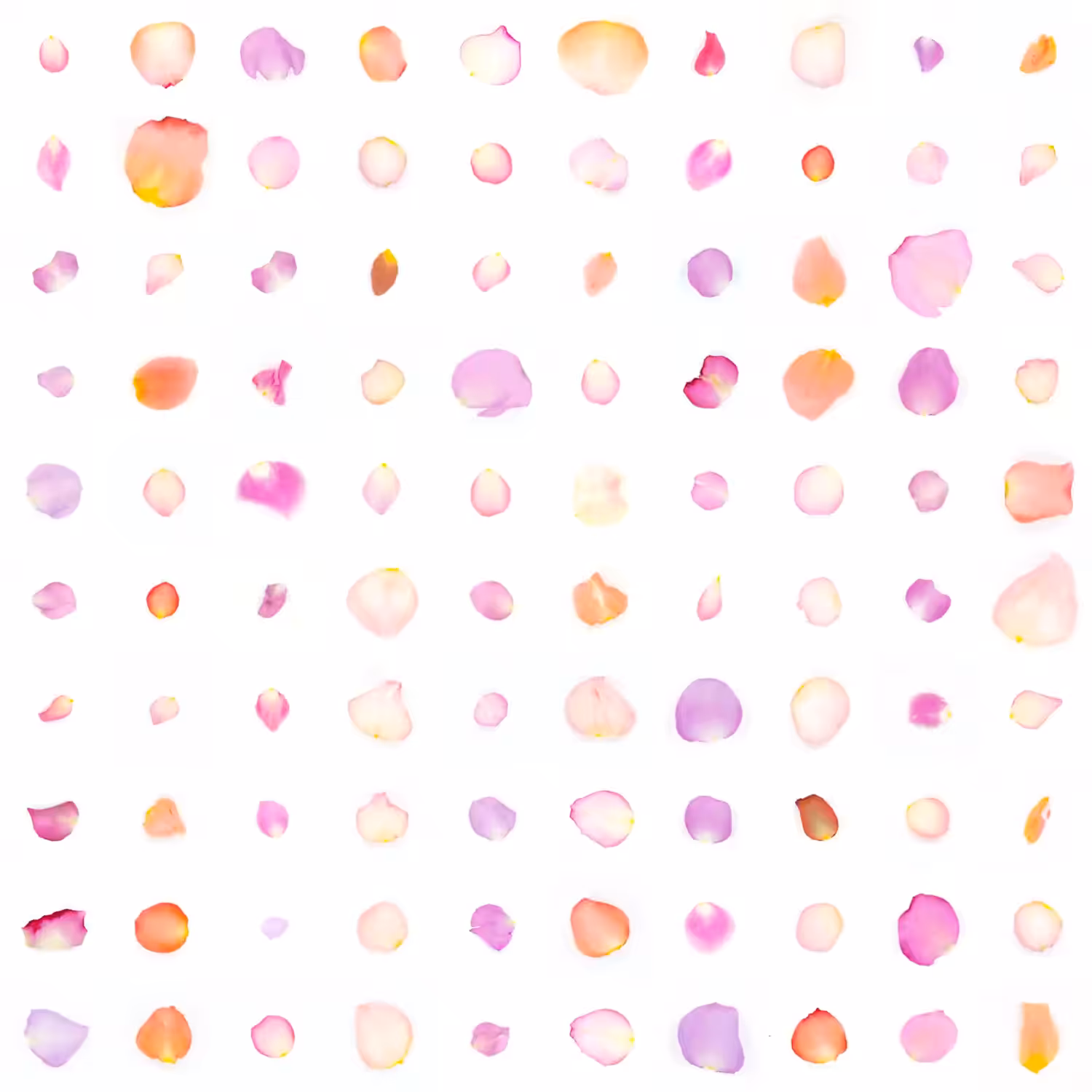Infinite Petals 10x10#10031