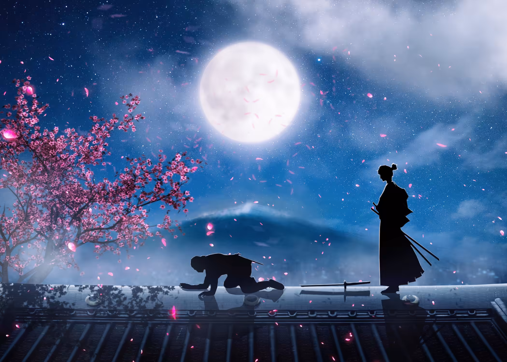 Ninja vs Samurai ed:5