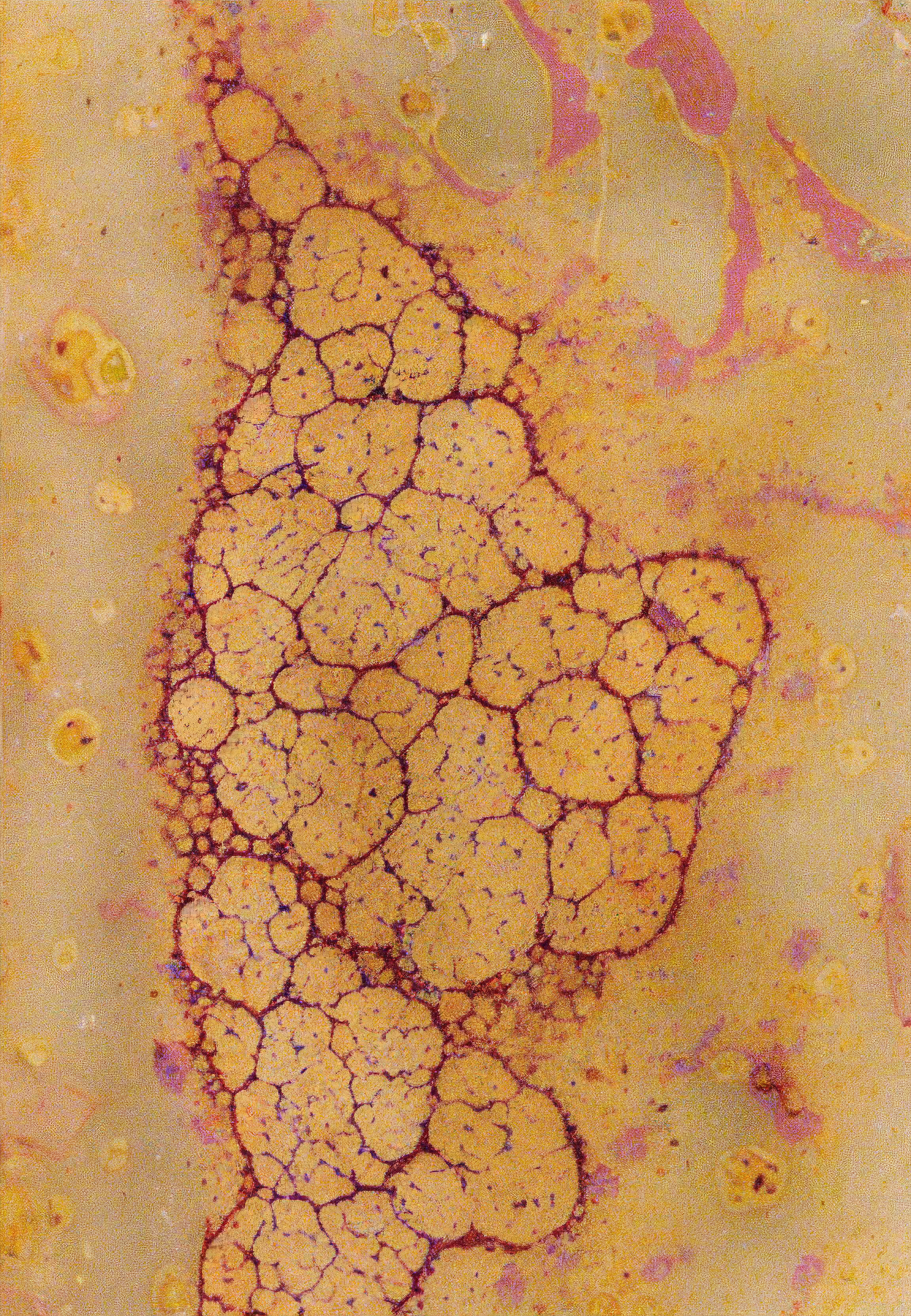 Histologia In Silico #189