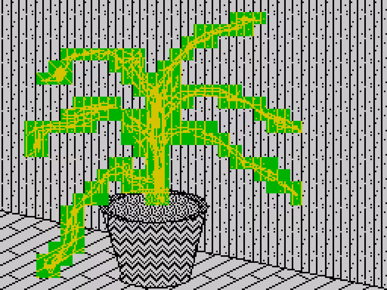 another plant with no name
