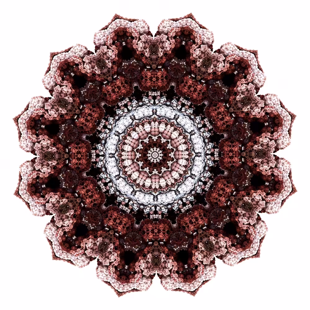 Shiraz