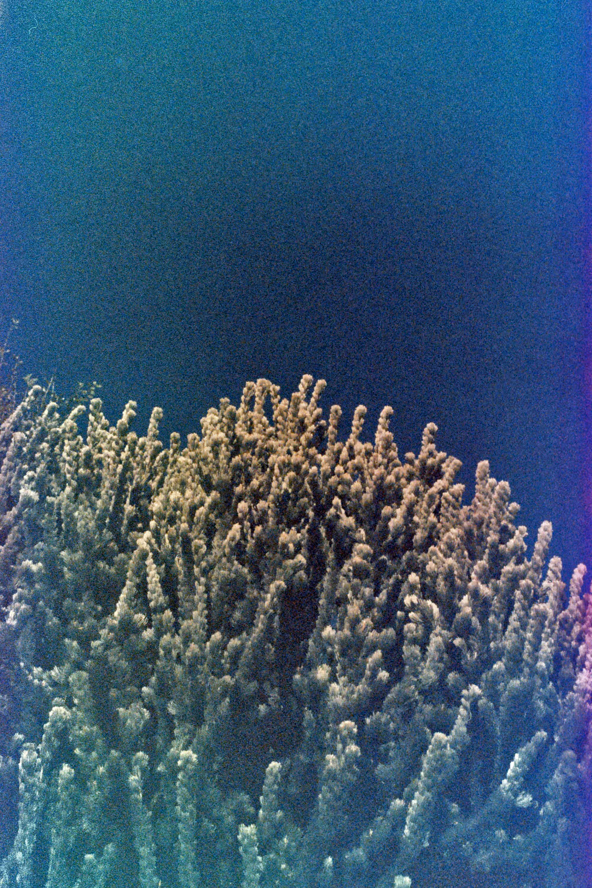 Endless skywater 