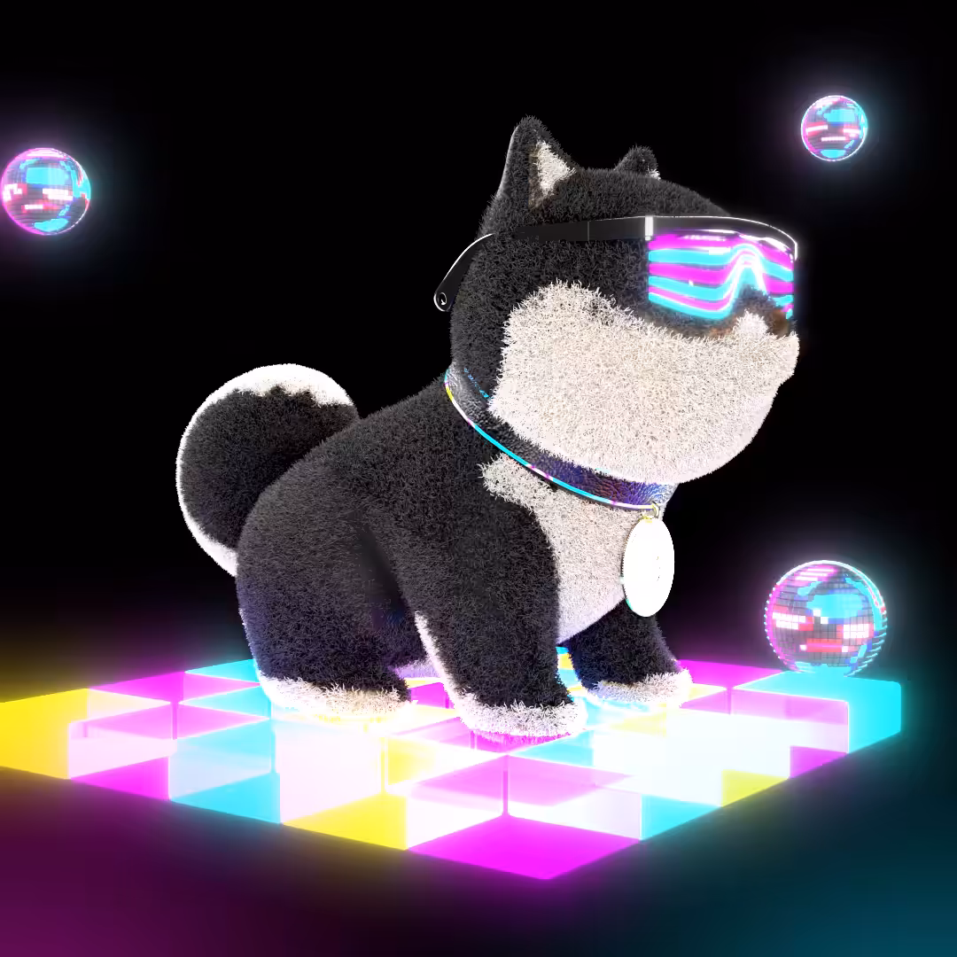 Crypto Shiba Disko