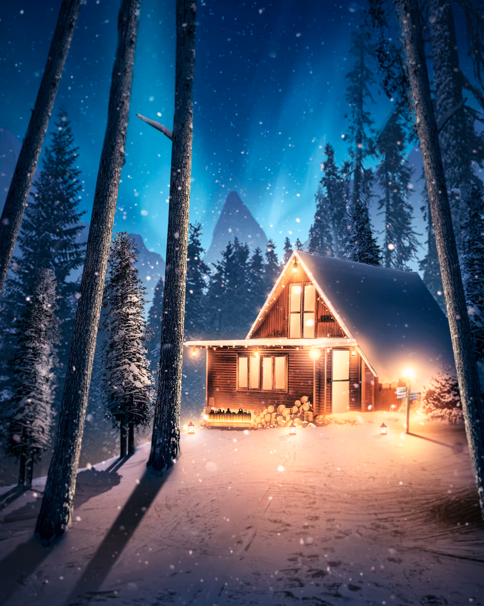 Winter House