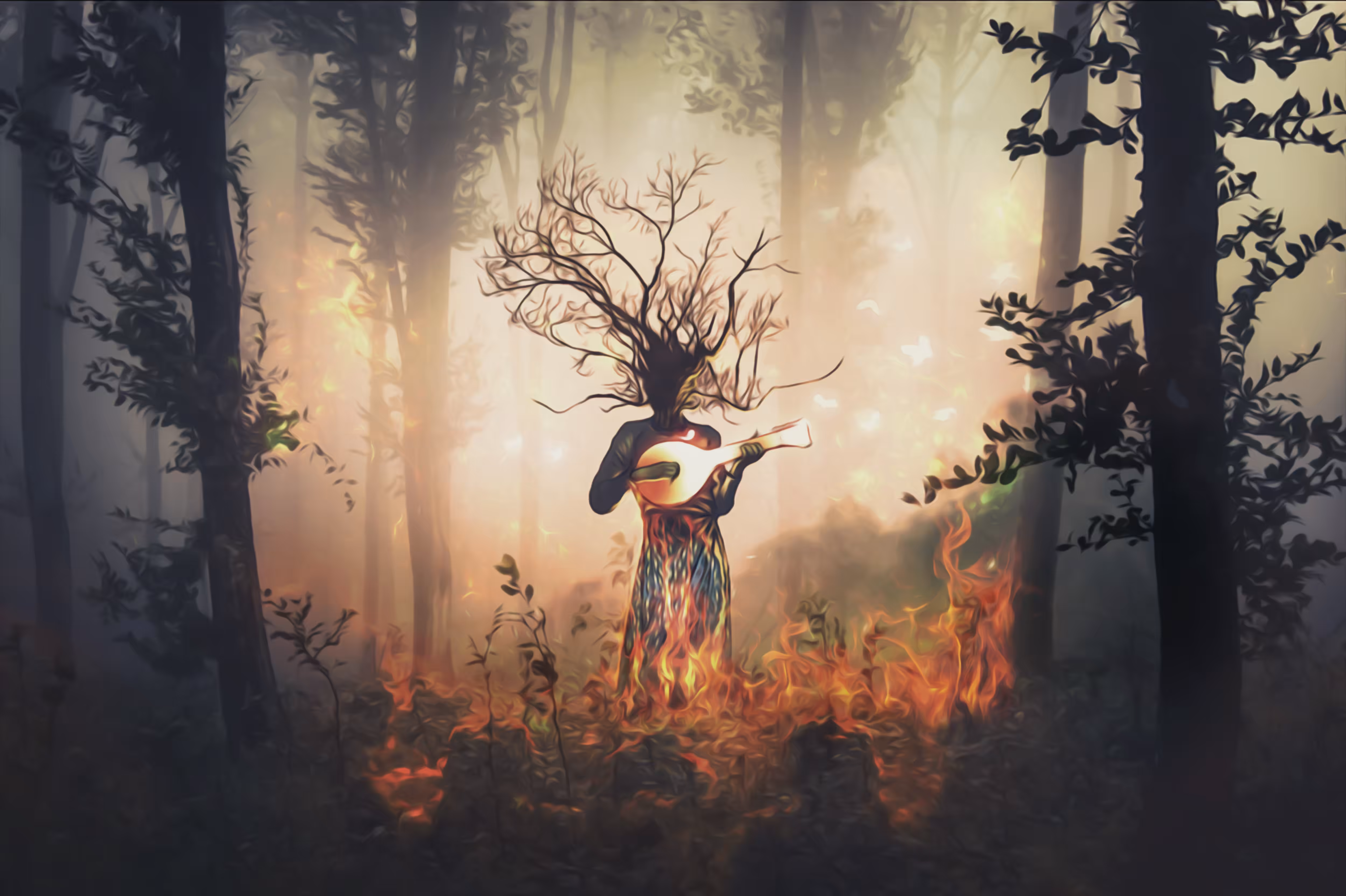 Forest Fire