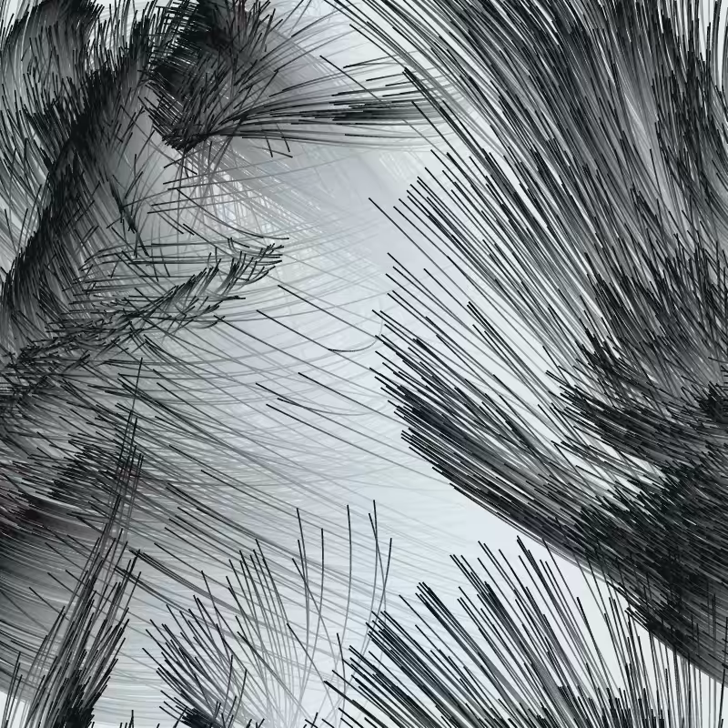 Strange Attractor Swarm #19