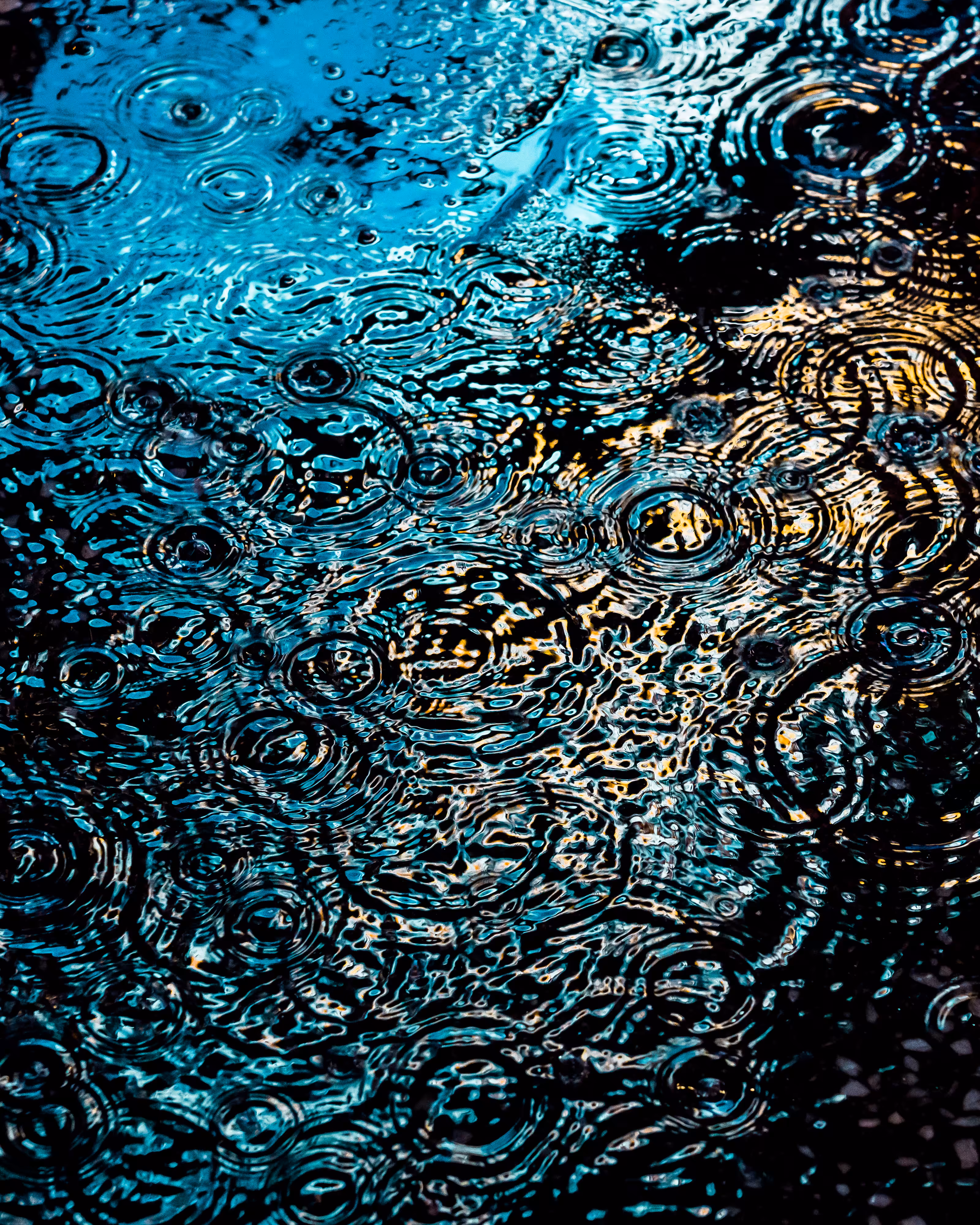 DRIP #91