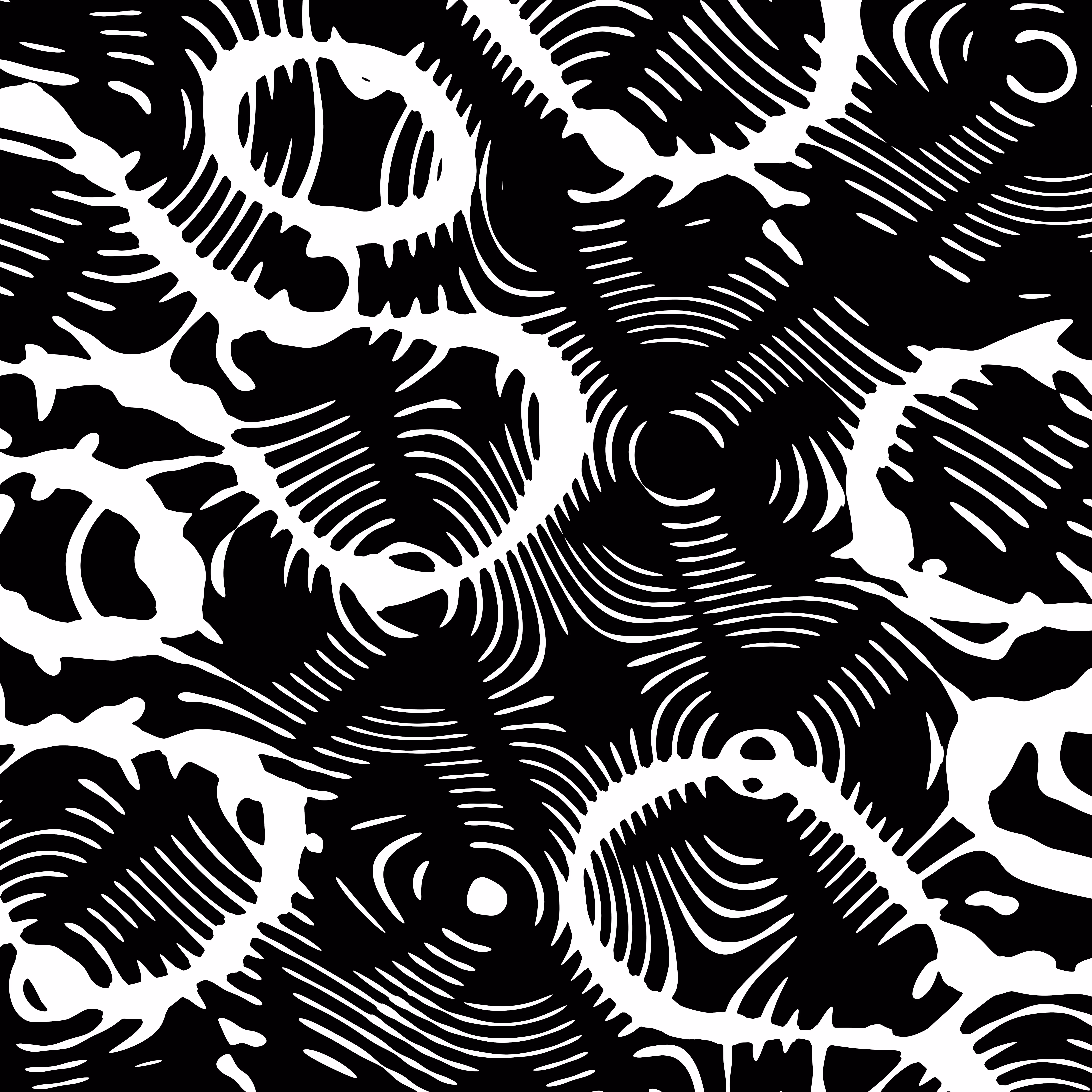 Bones