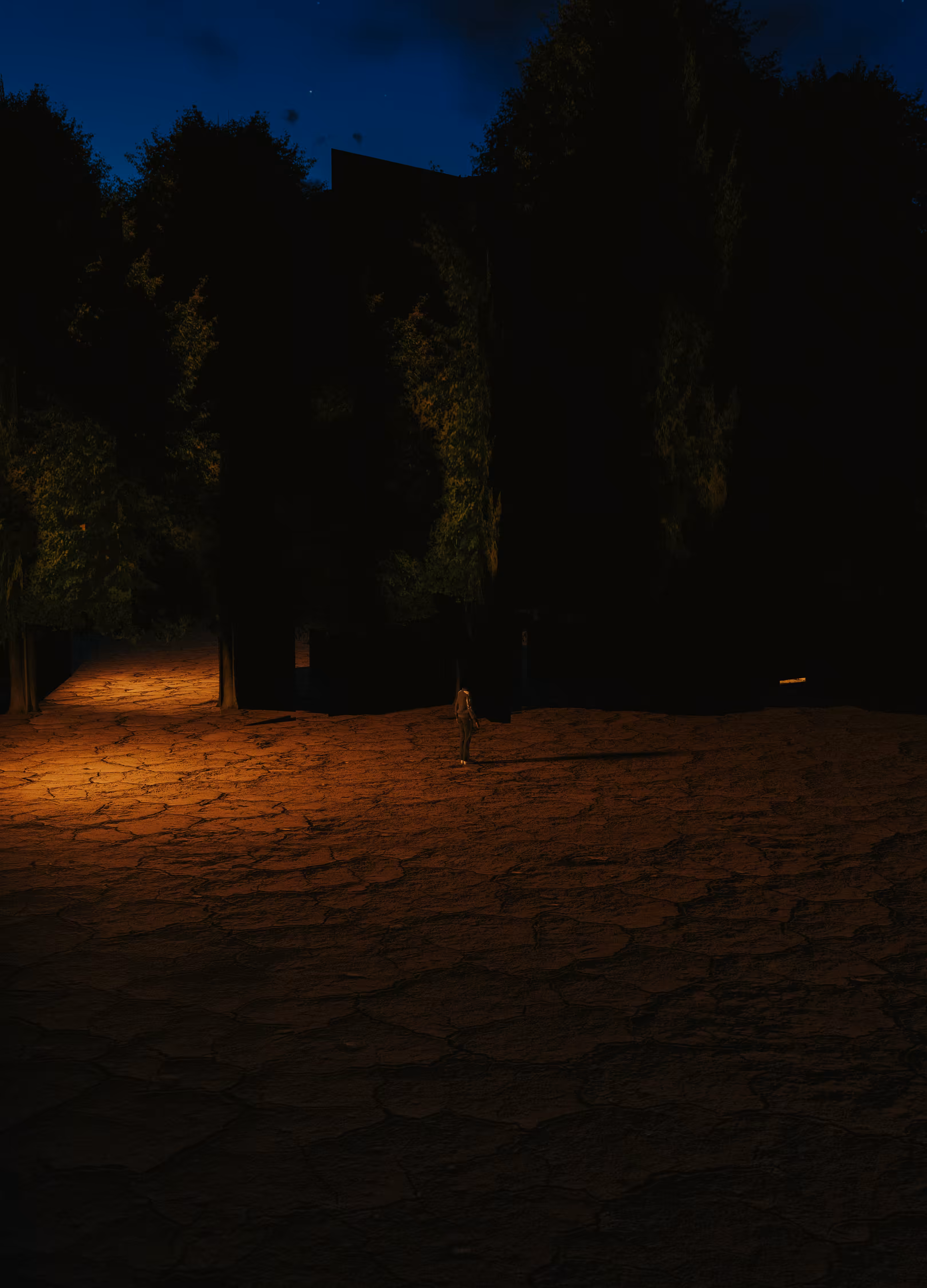 Searching