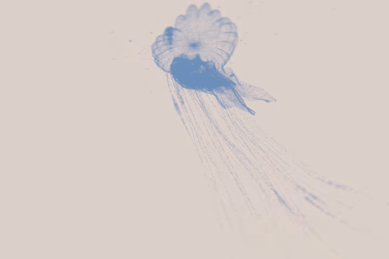 Turtle Vision #43