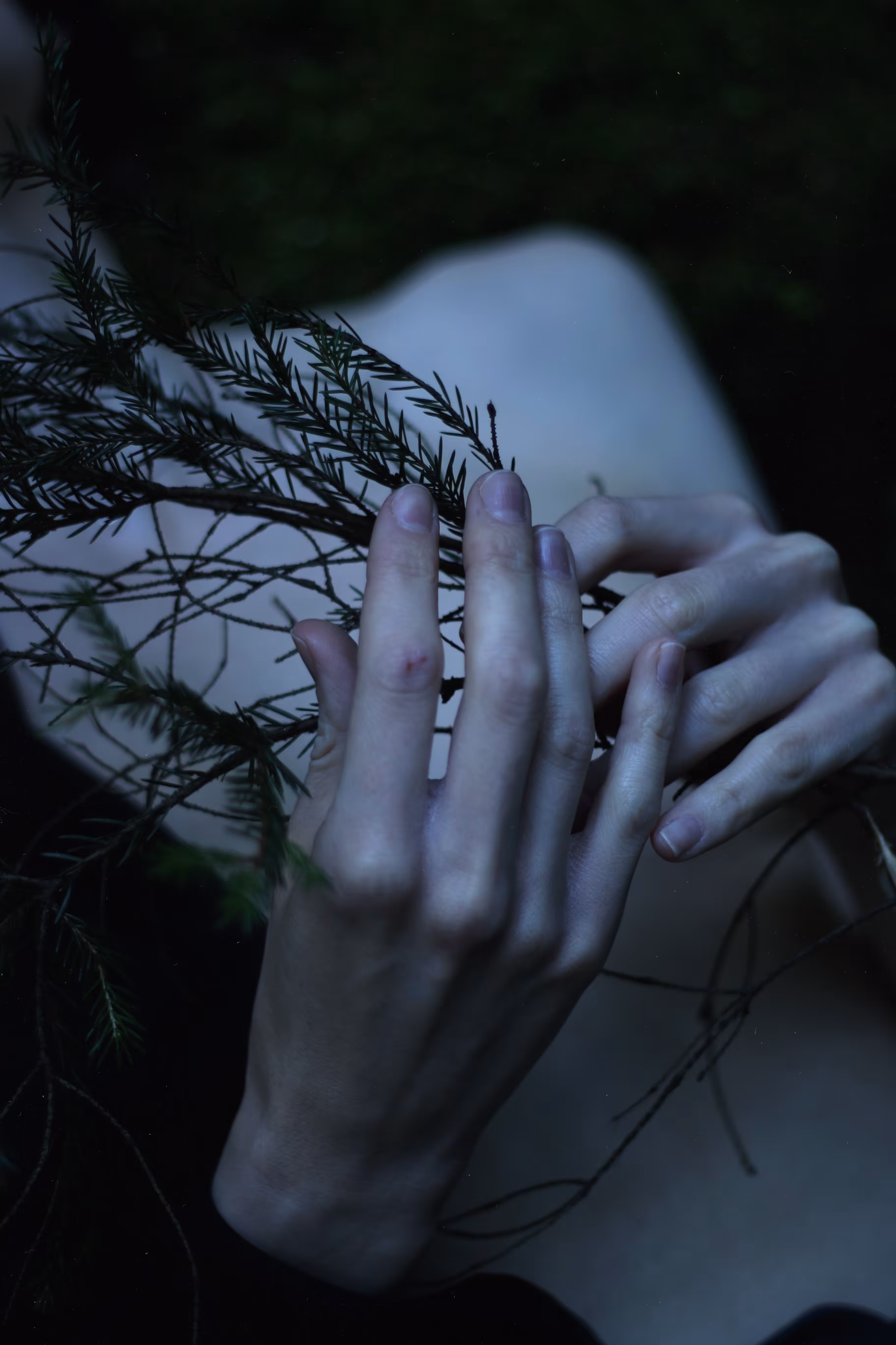 The soul covered in moss