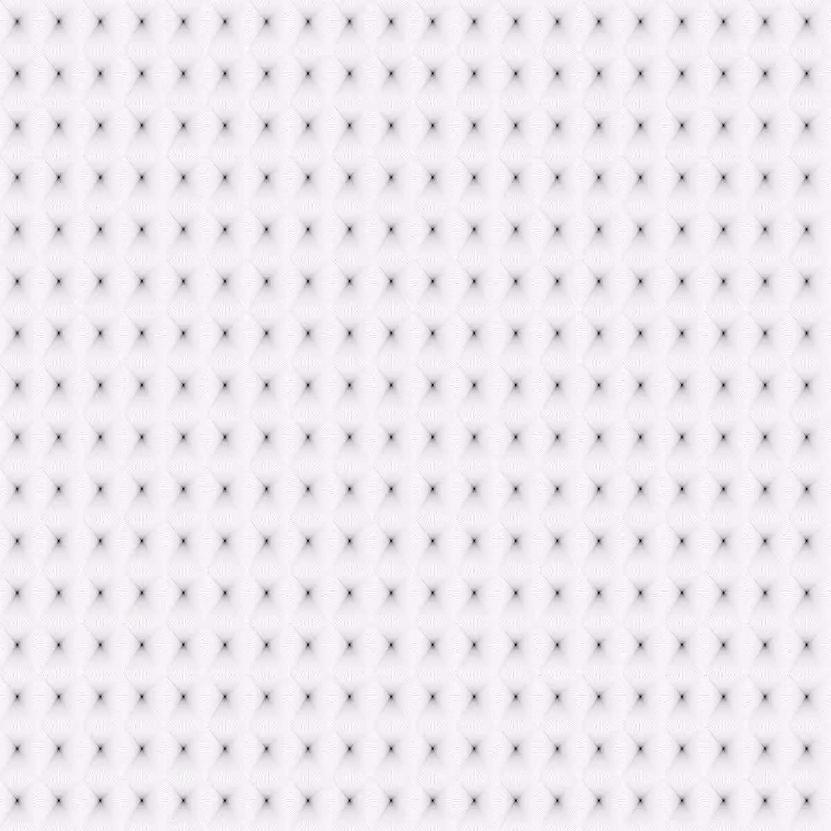 Noir et Blanc #202