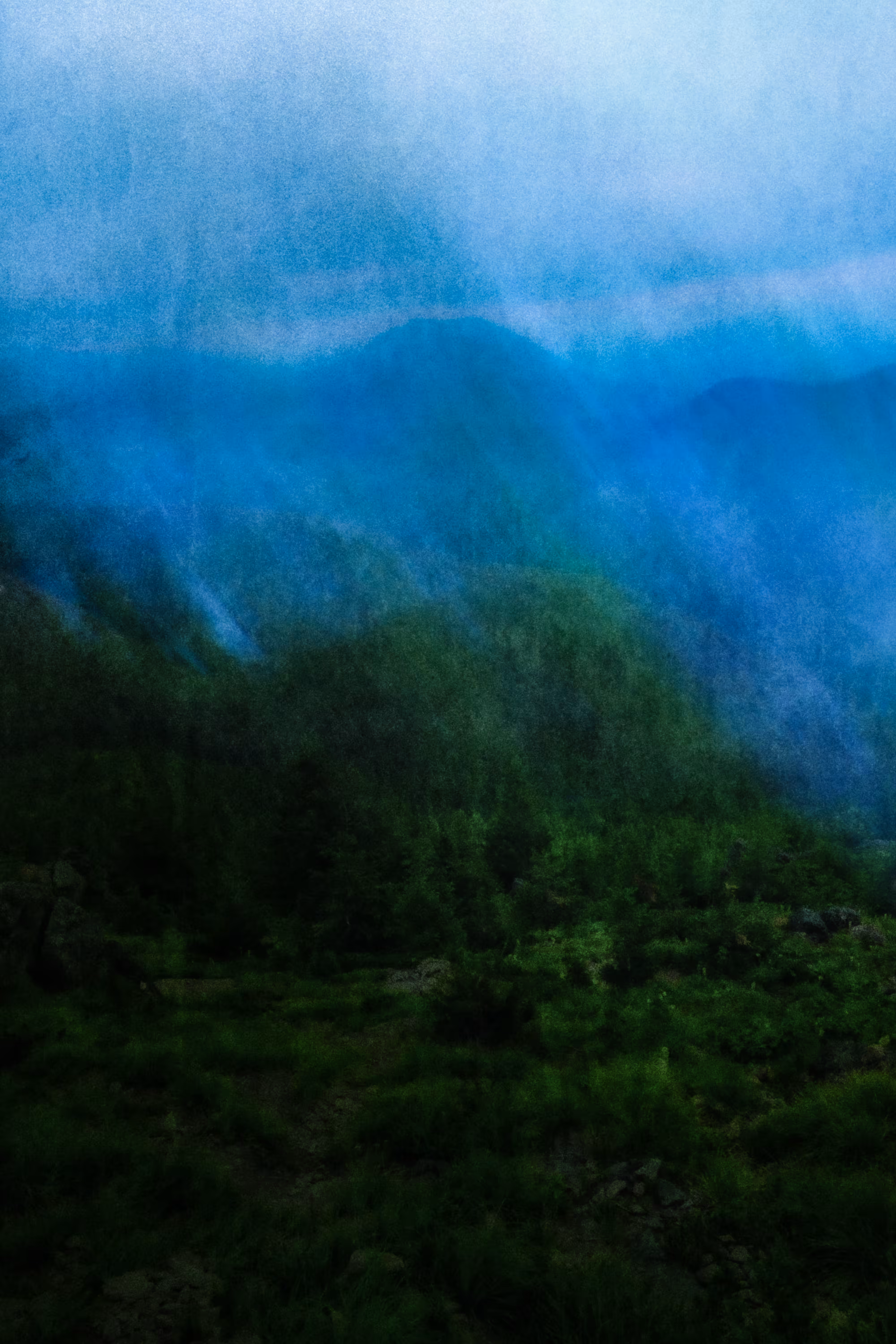 Veil Over The Verdure