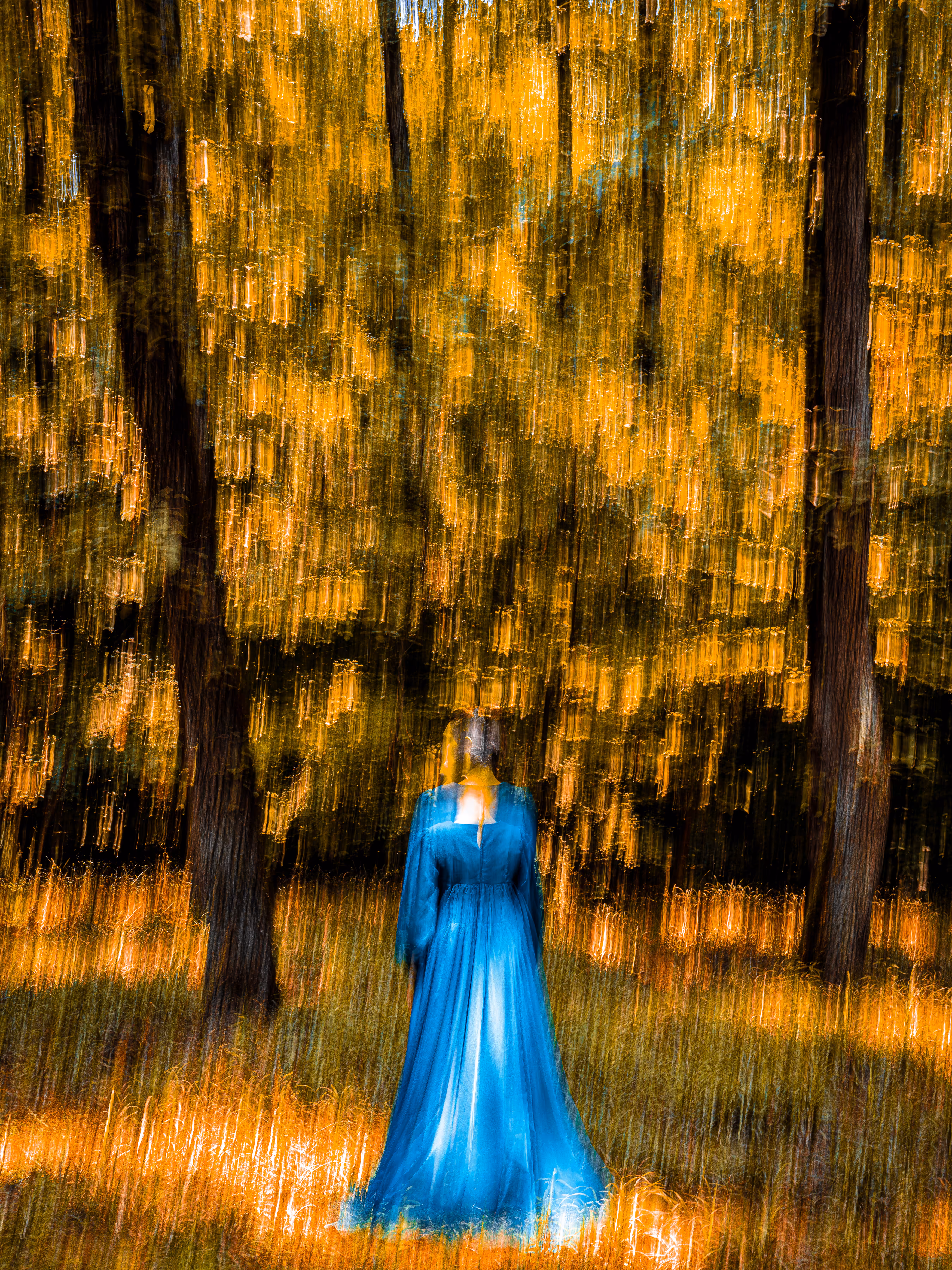 The Solitary Dreamer/04
