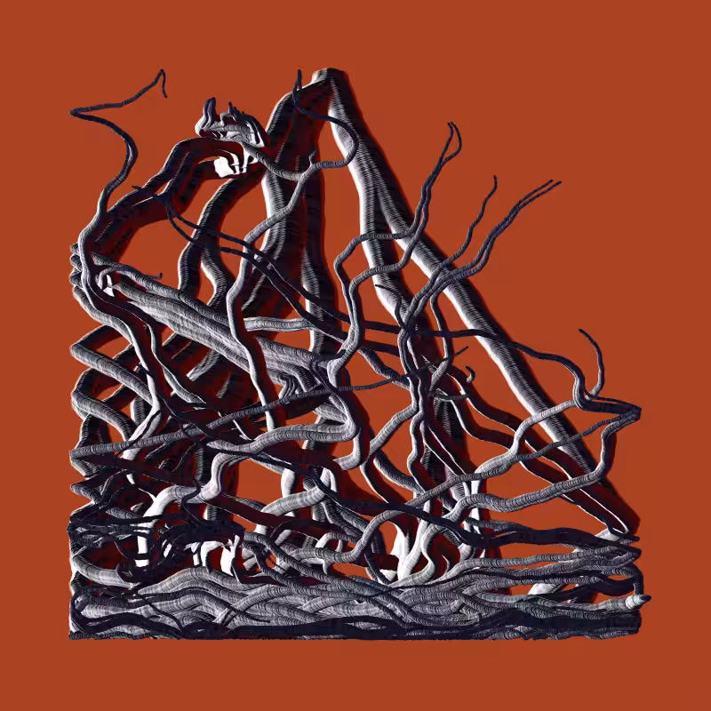 Root #7