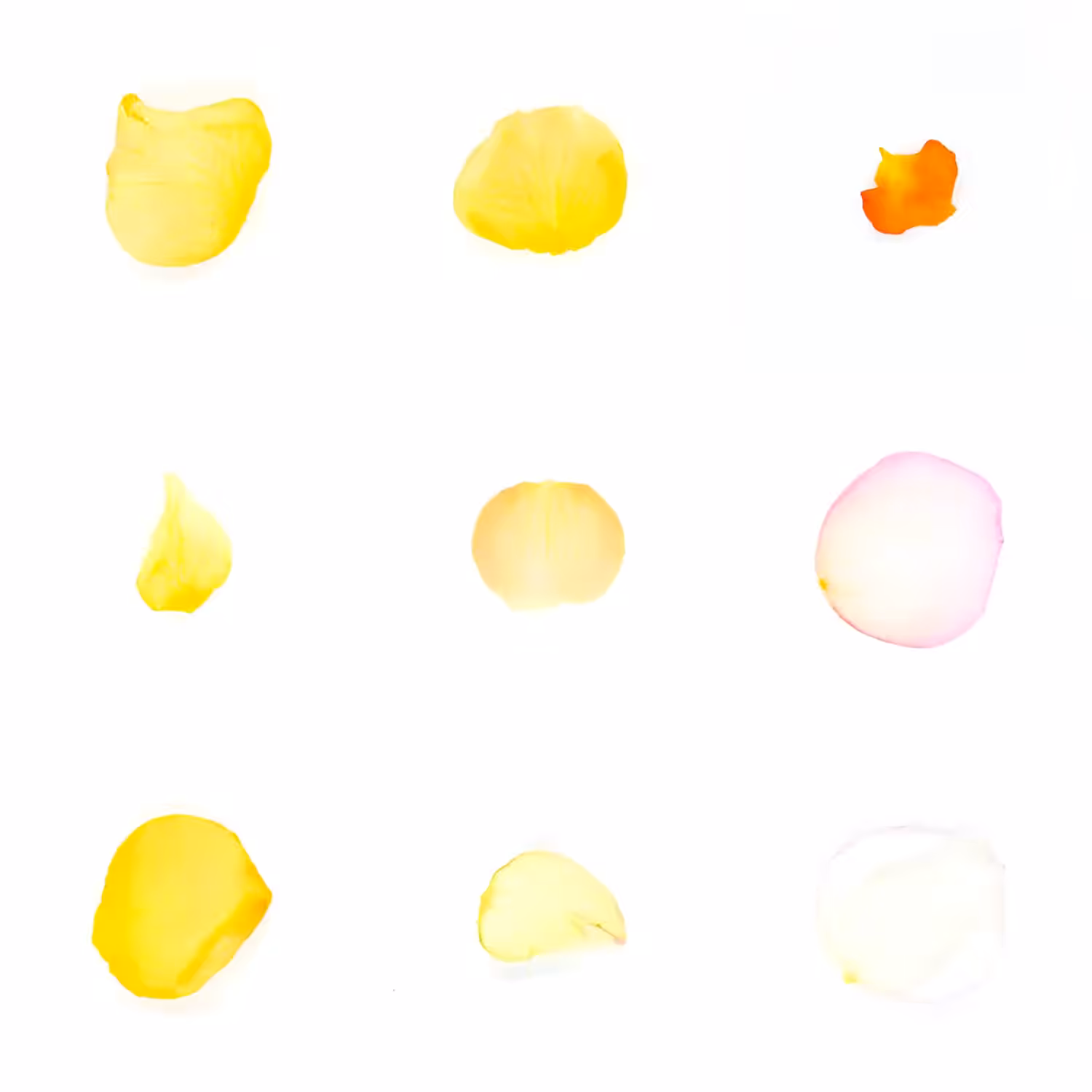 Infinite Petals 3x3#3208