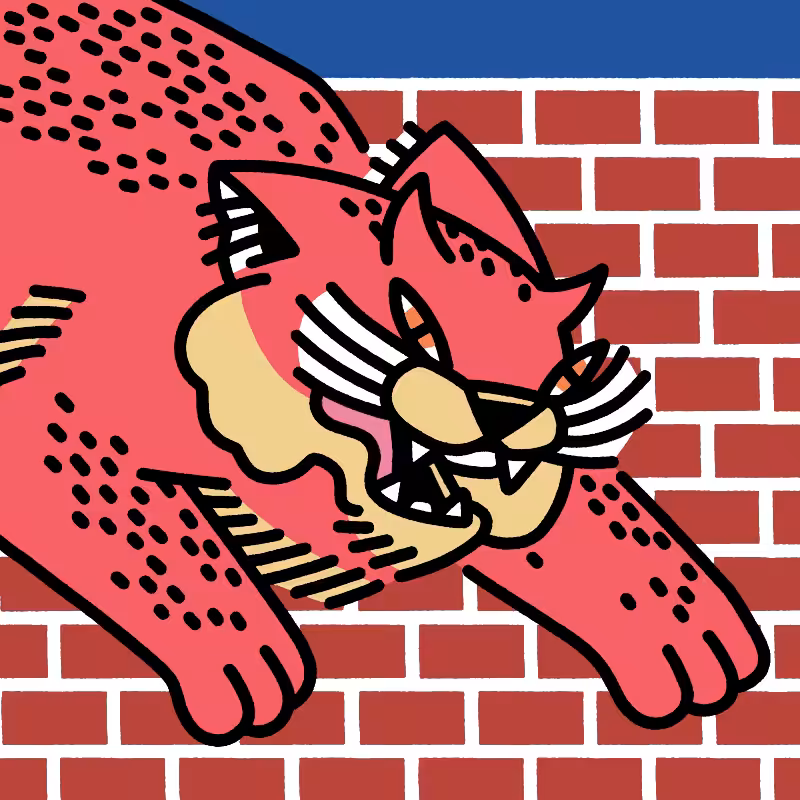 fx(cats) #101