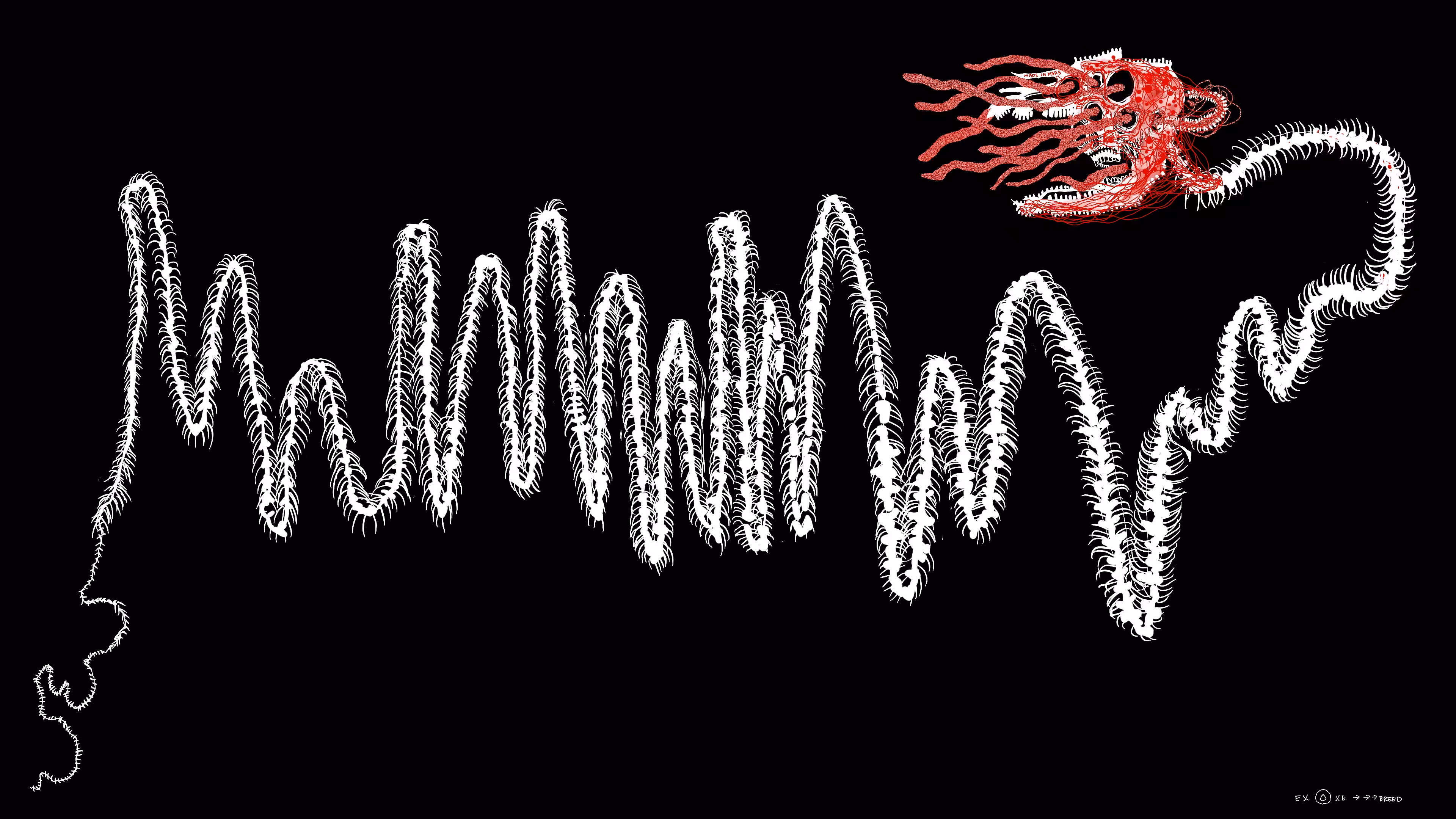 Chromie Tapeworm Micrograph <o>