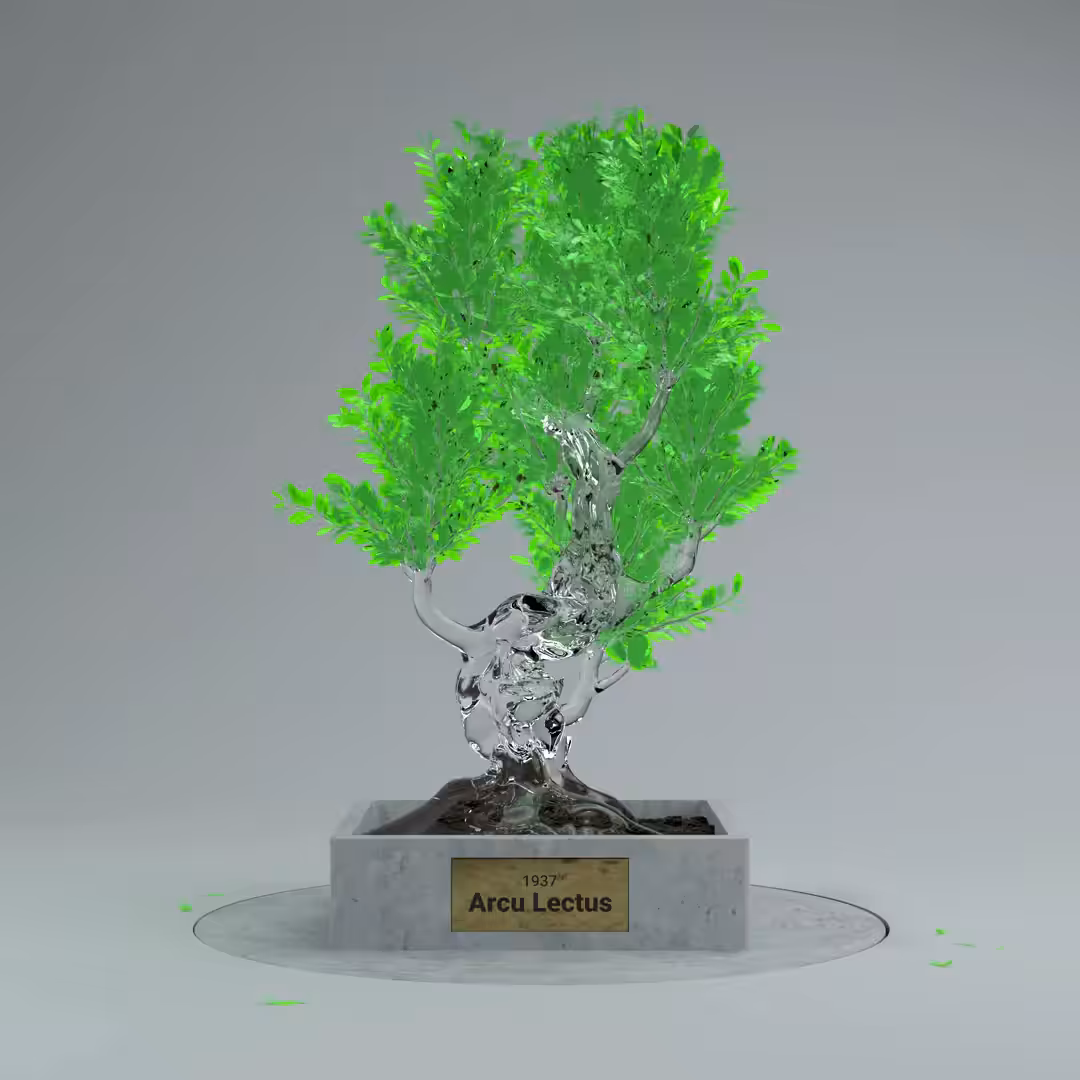 Arcu Lectus 1937 - Glass Bonsai