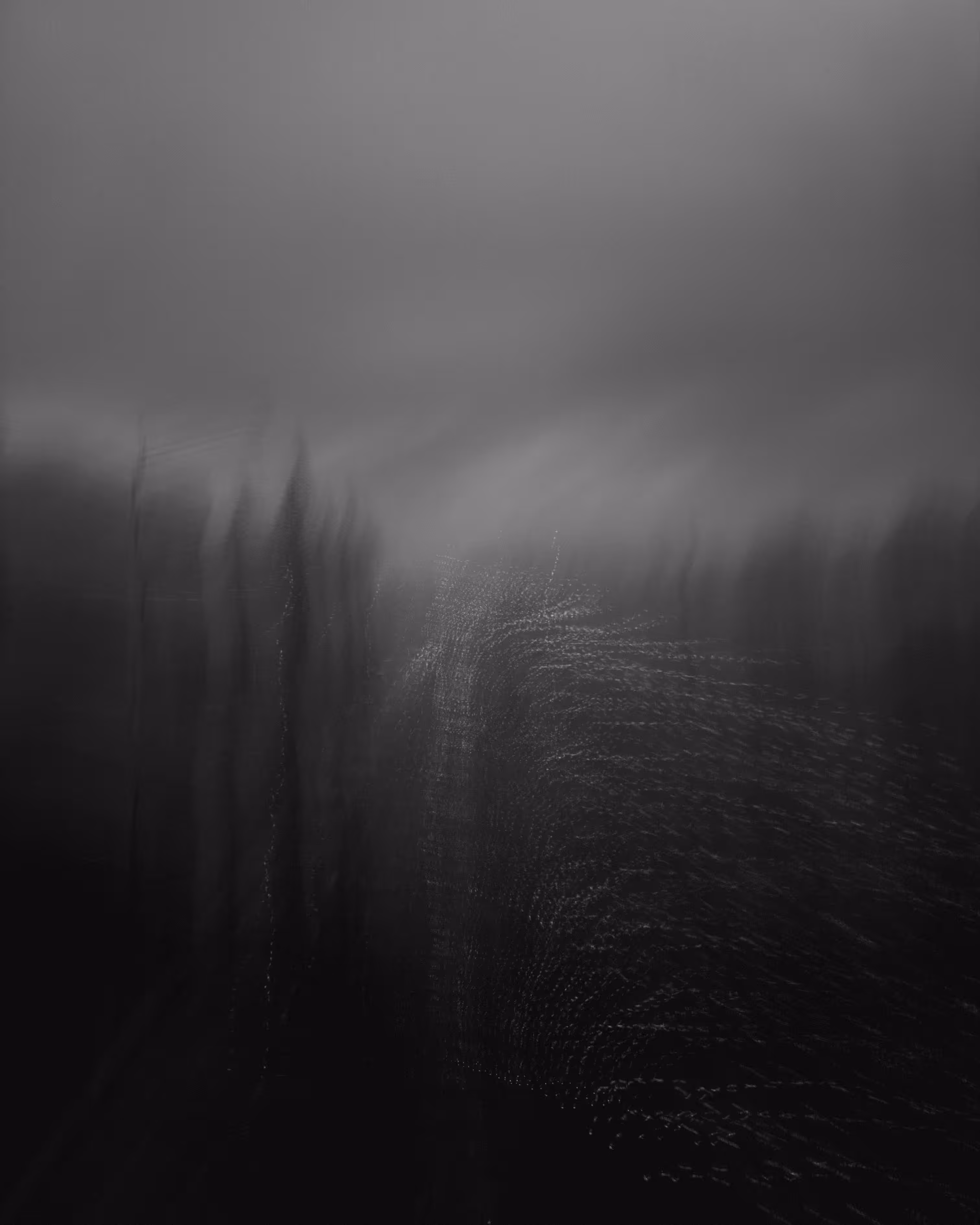 feathers