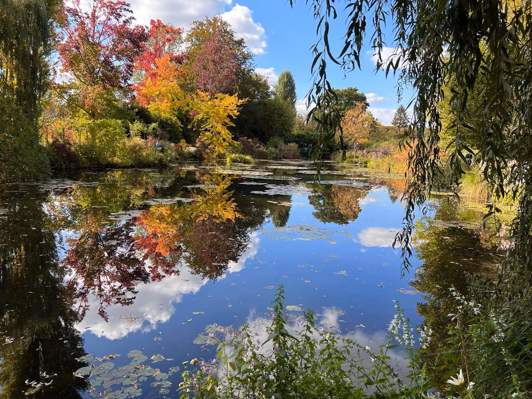 Monet’s Gardens pond