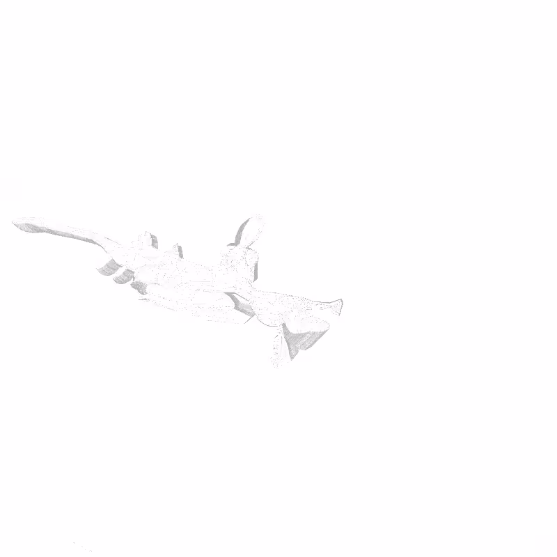 traces #31