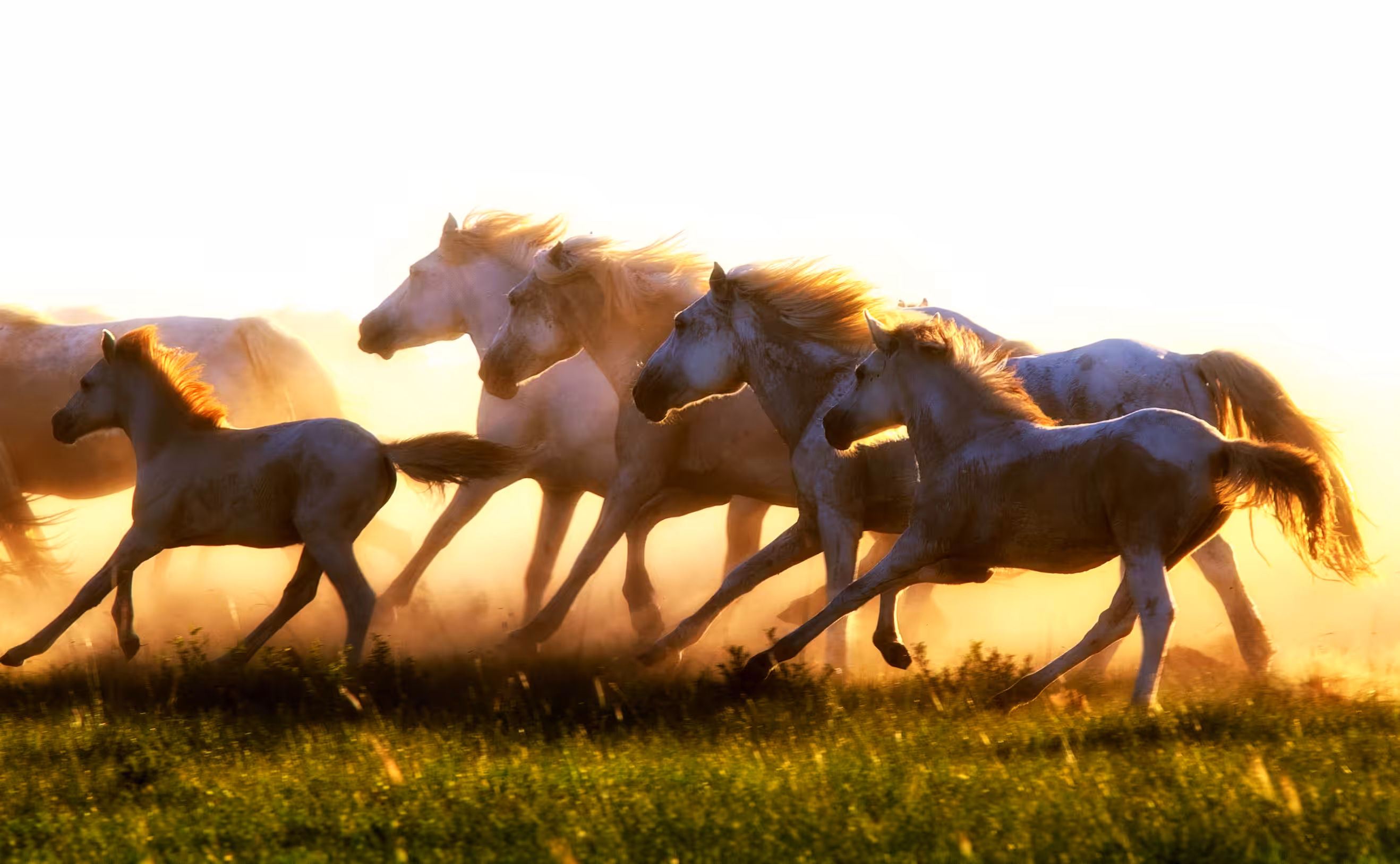 Run with the wind