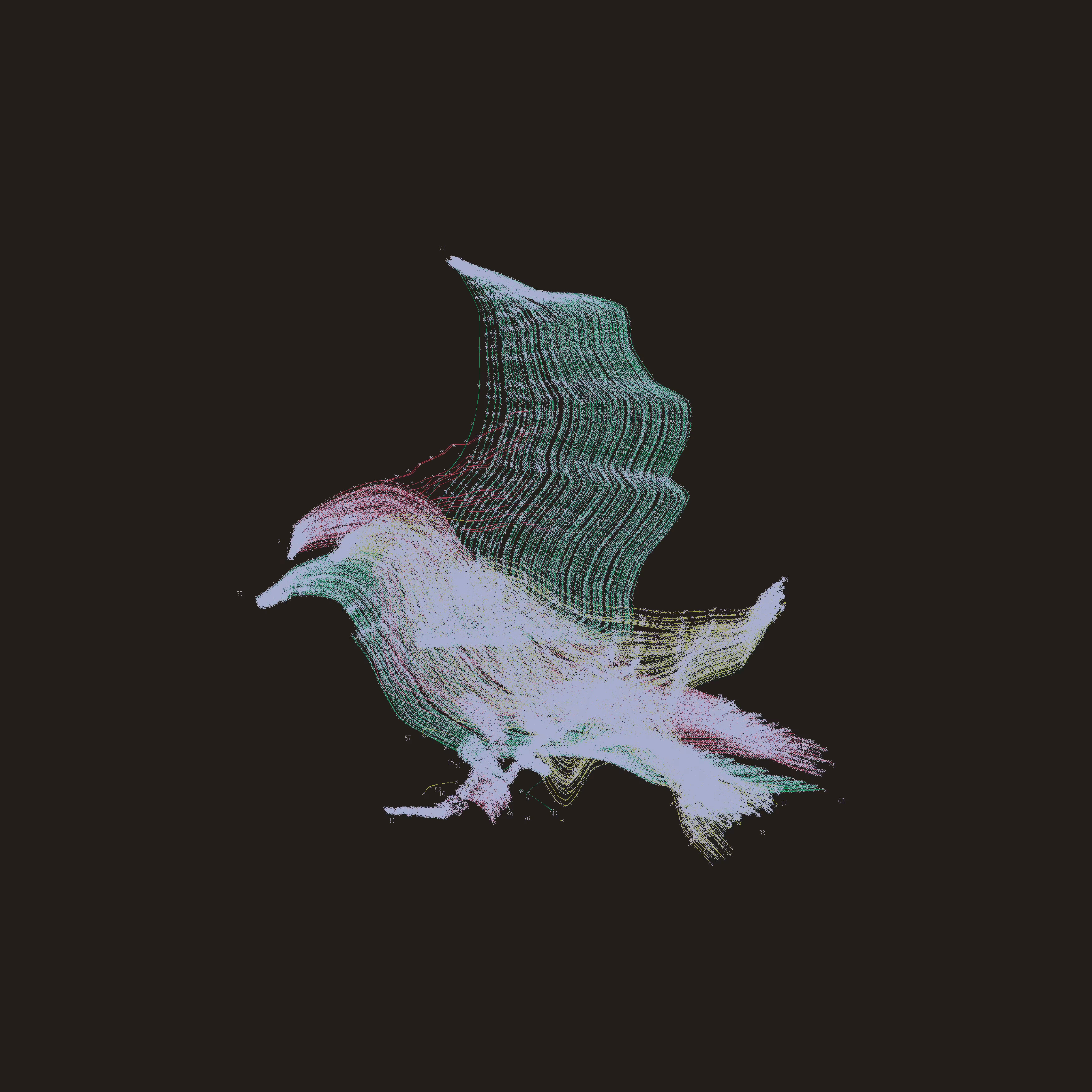 Bird" : Through Tubes, We Now Are